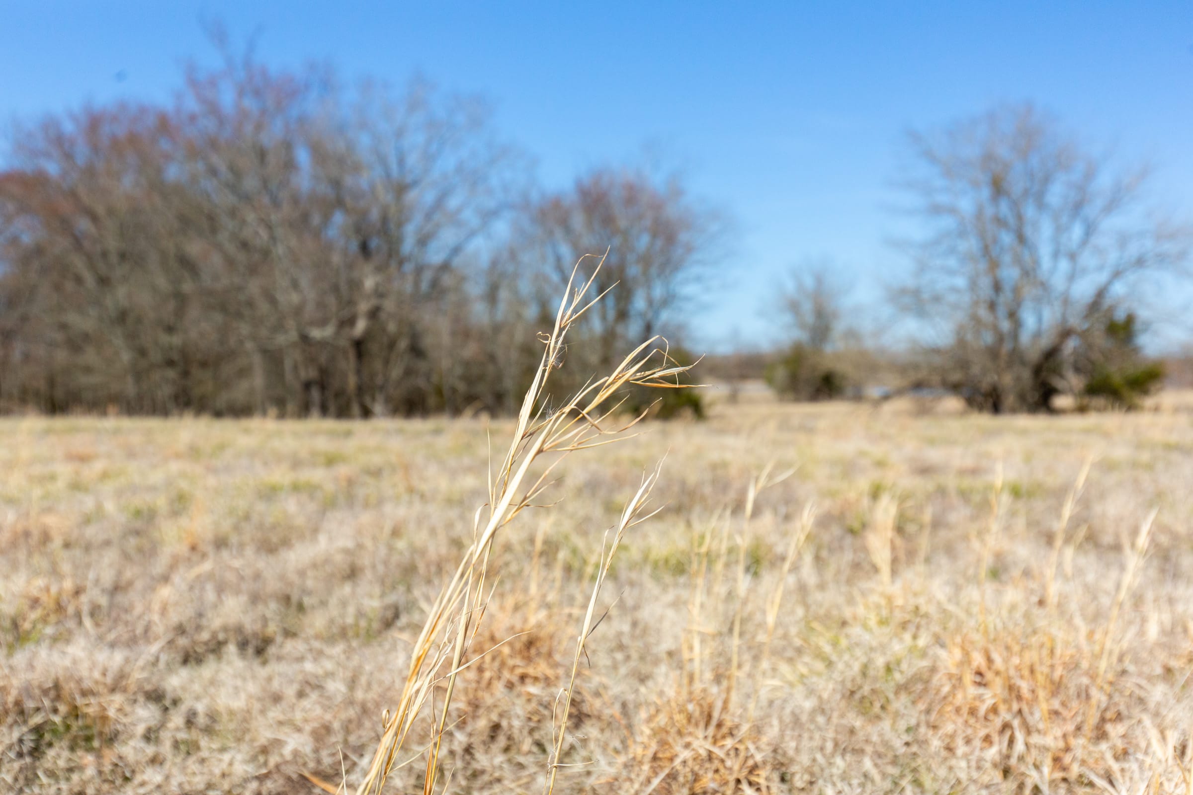 Wishing Star Ranch Tract 20 photo 5