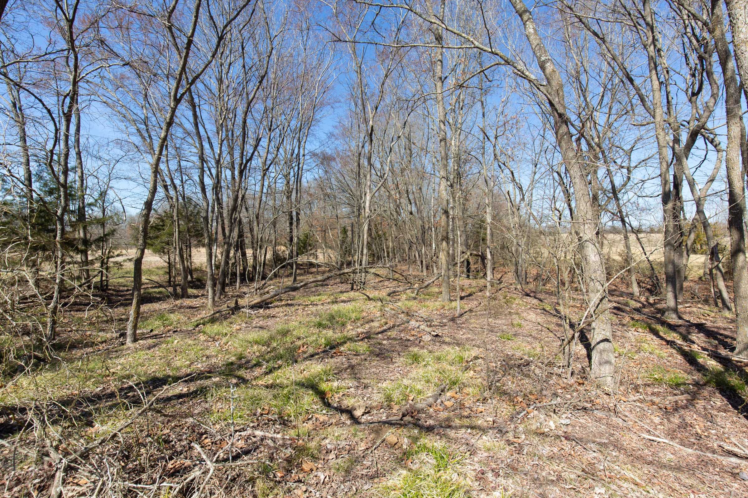 Wishing Star Ranch Tract 20 photo 11
