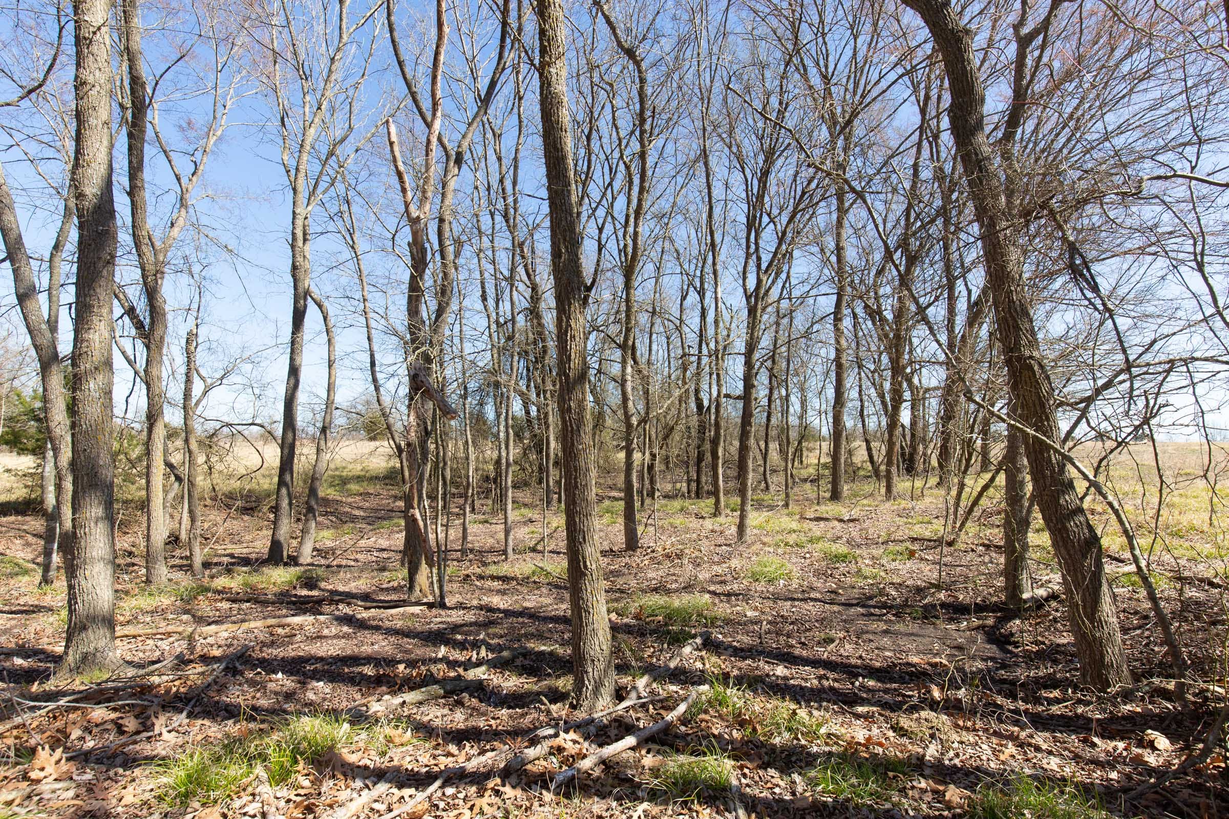 Wishing Star Ranch Tract 20 photo 12