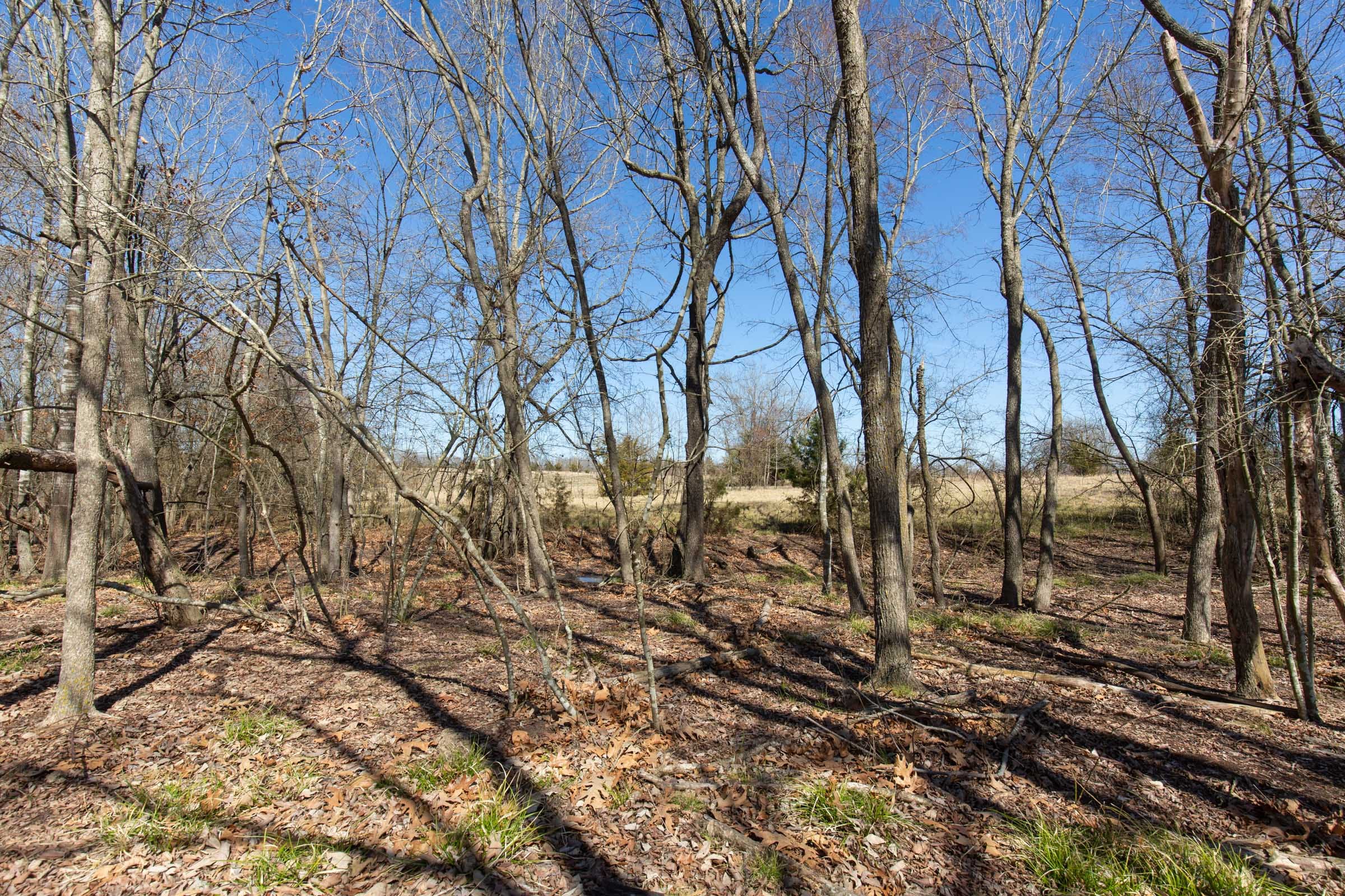 Wishing Star Ranch Tract 20 photo 13