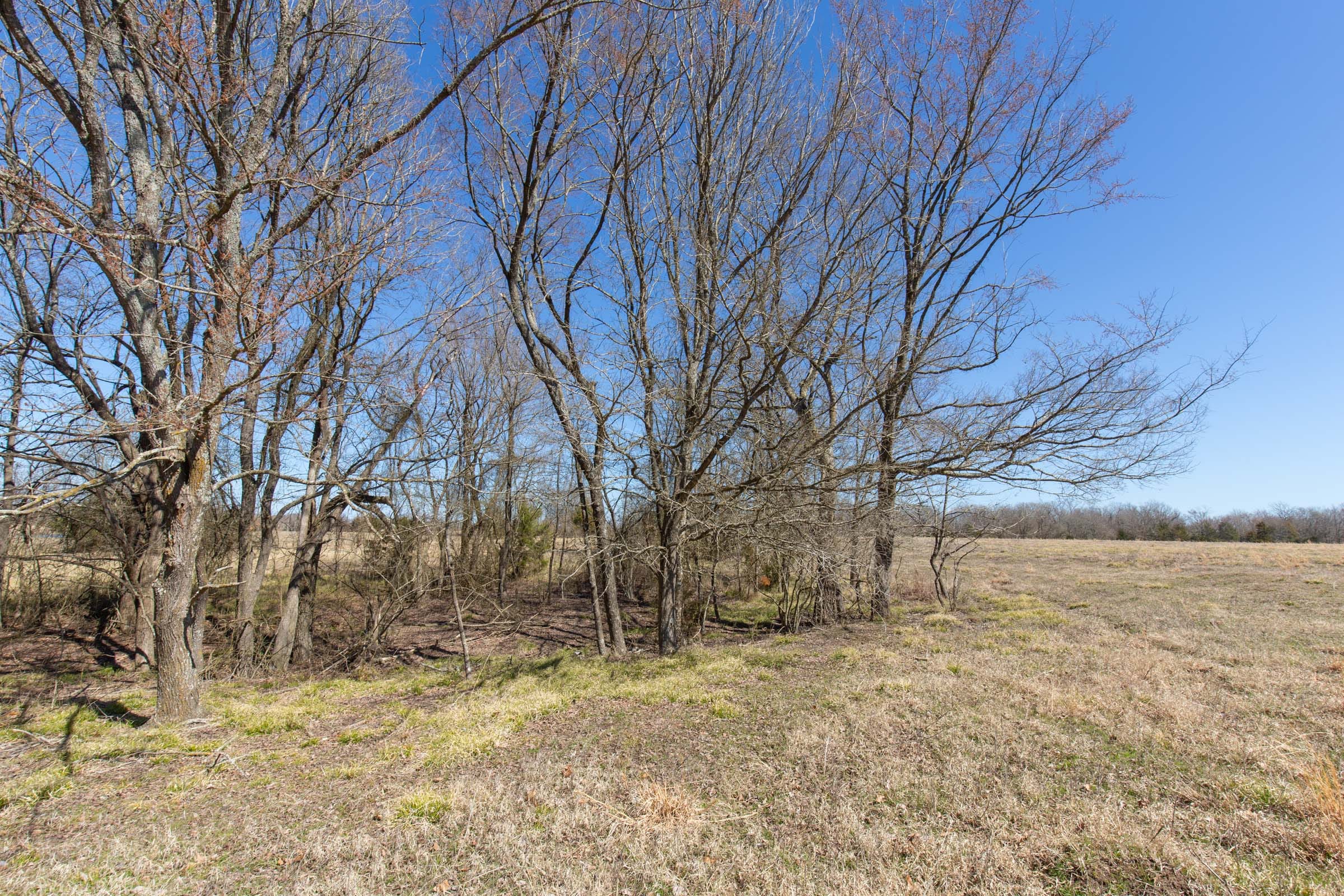 Wishing Star Ranch Tract 20 photo 14