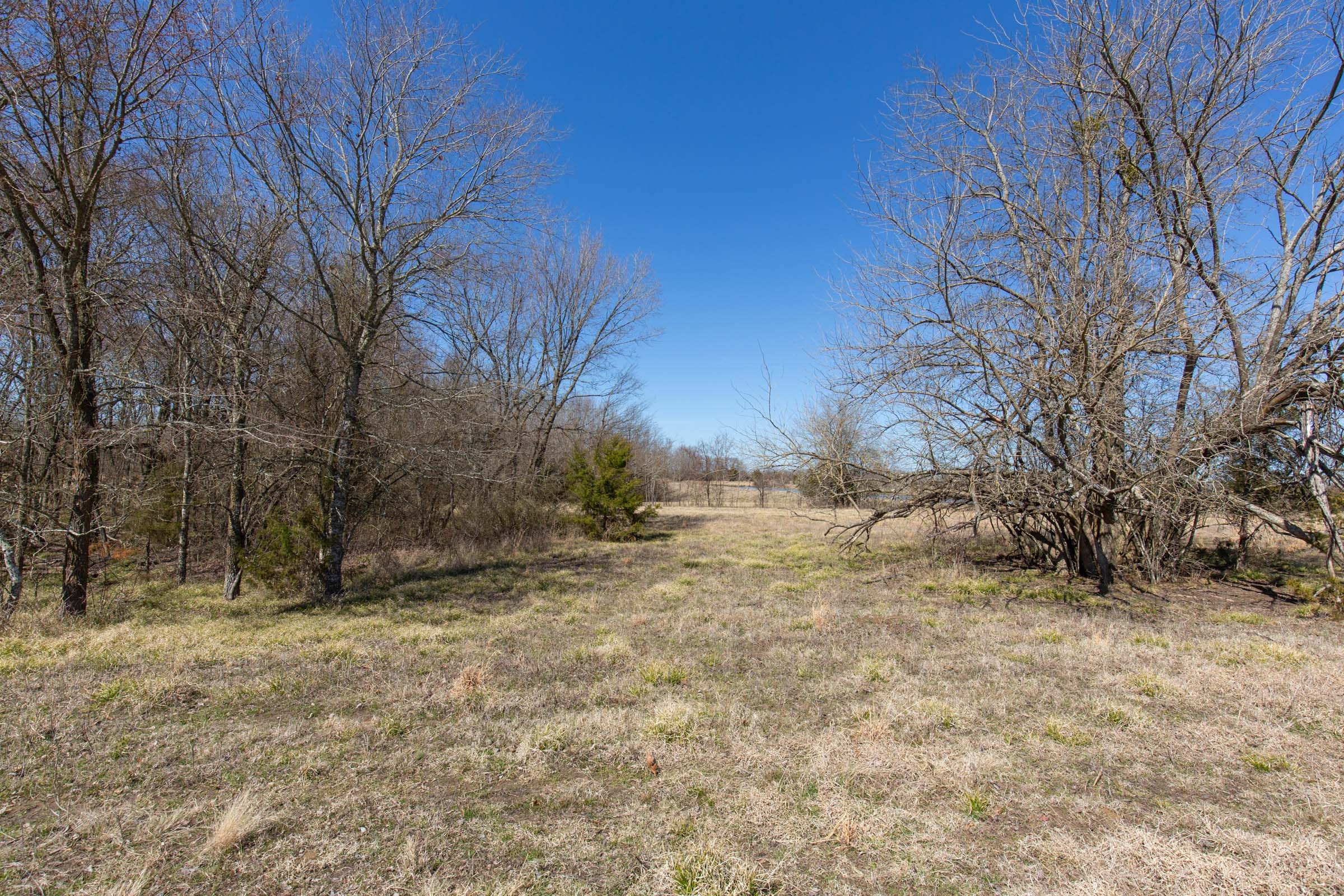 Wishing Star Ranch Tract 20 photo 15