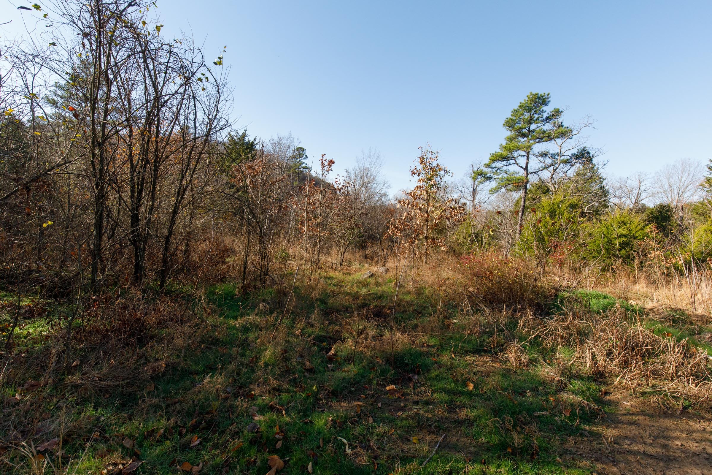 Stone Bridge Phase II Tract 73 photo 10
