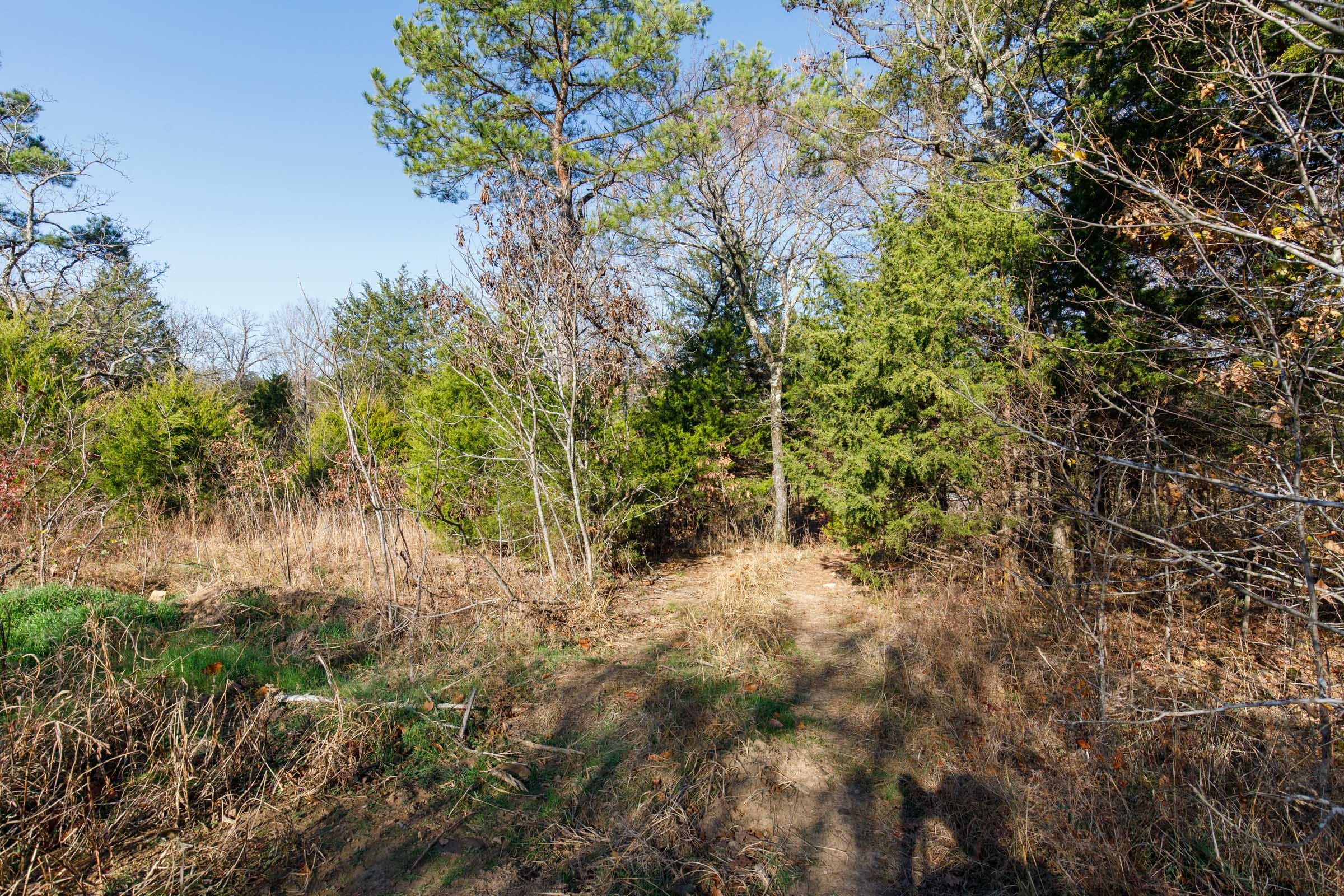 Stone Bridge Phase II Tract 73 photo 11