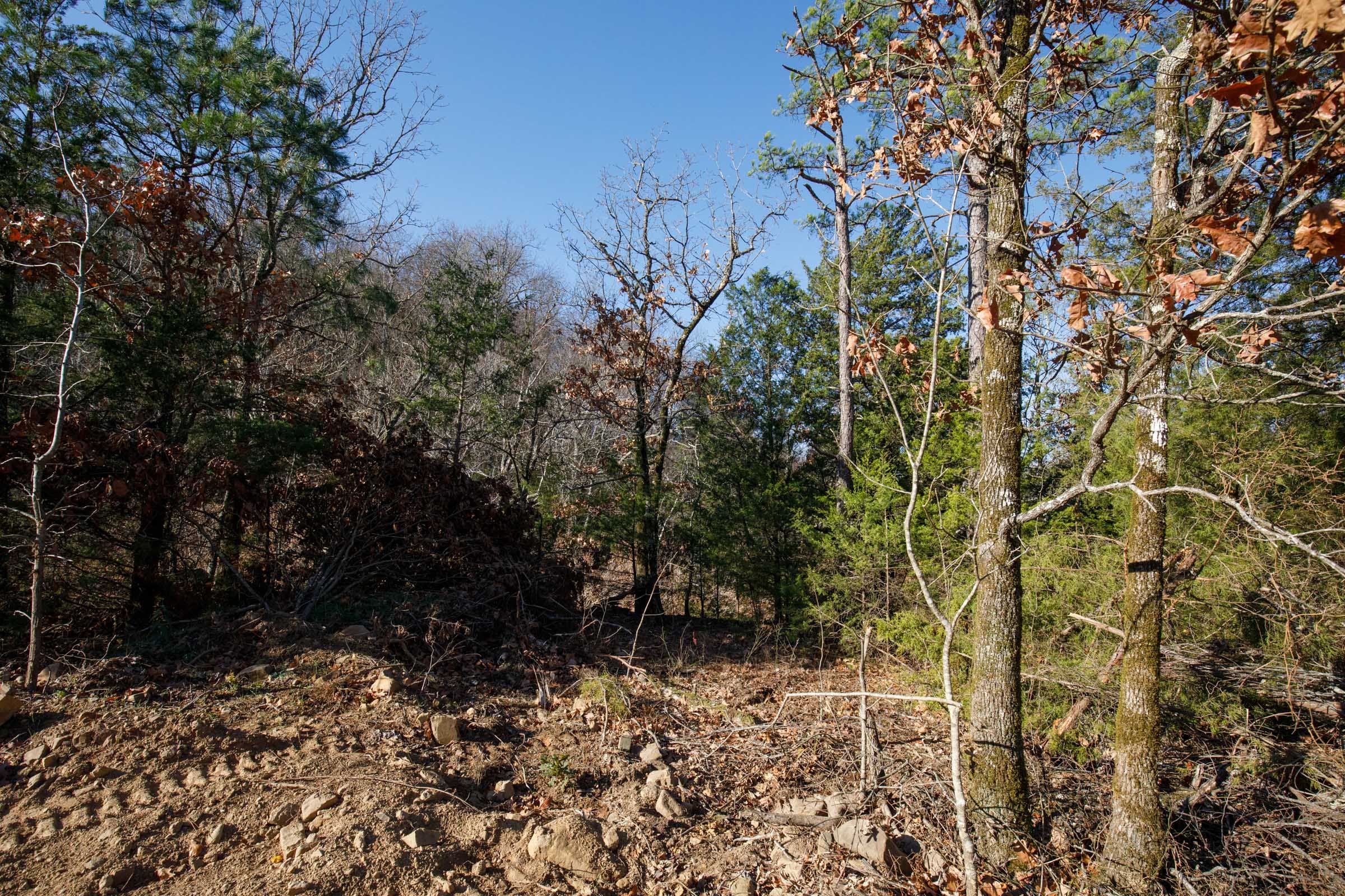 Stone Bridge Phase II Tract 73 photo 13