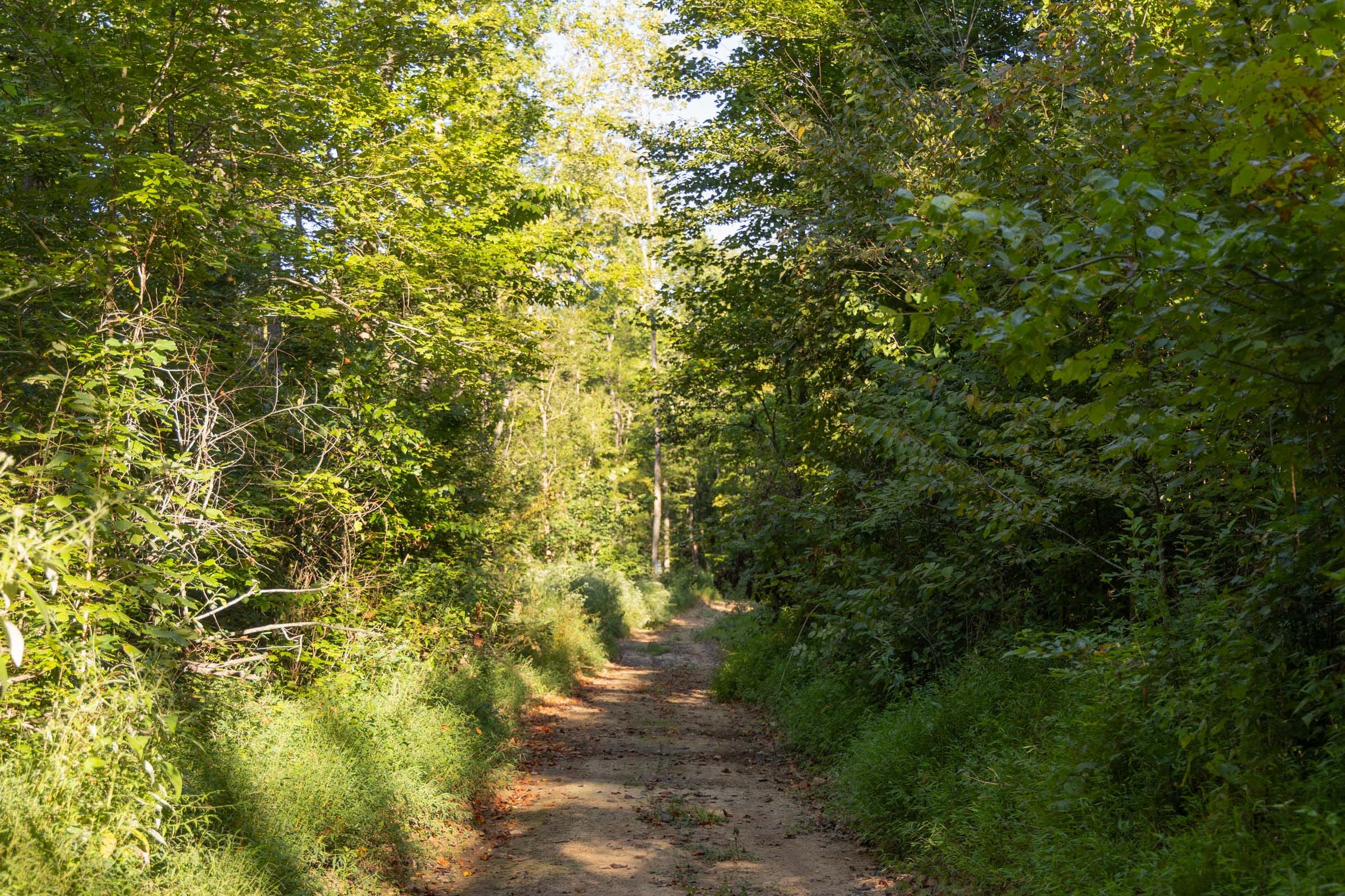 Big White Oak Tract 87 photo 7