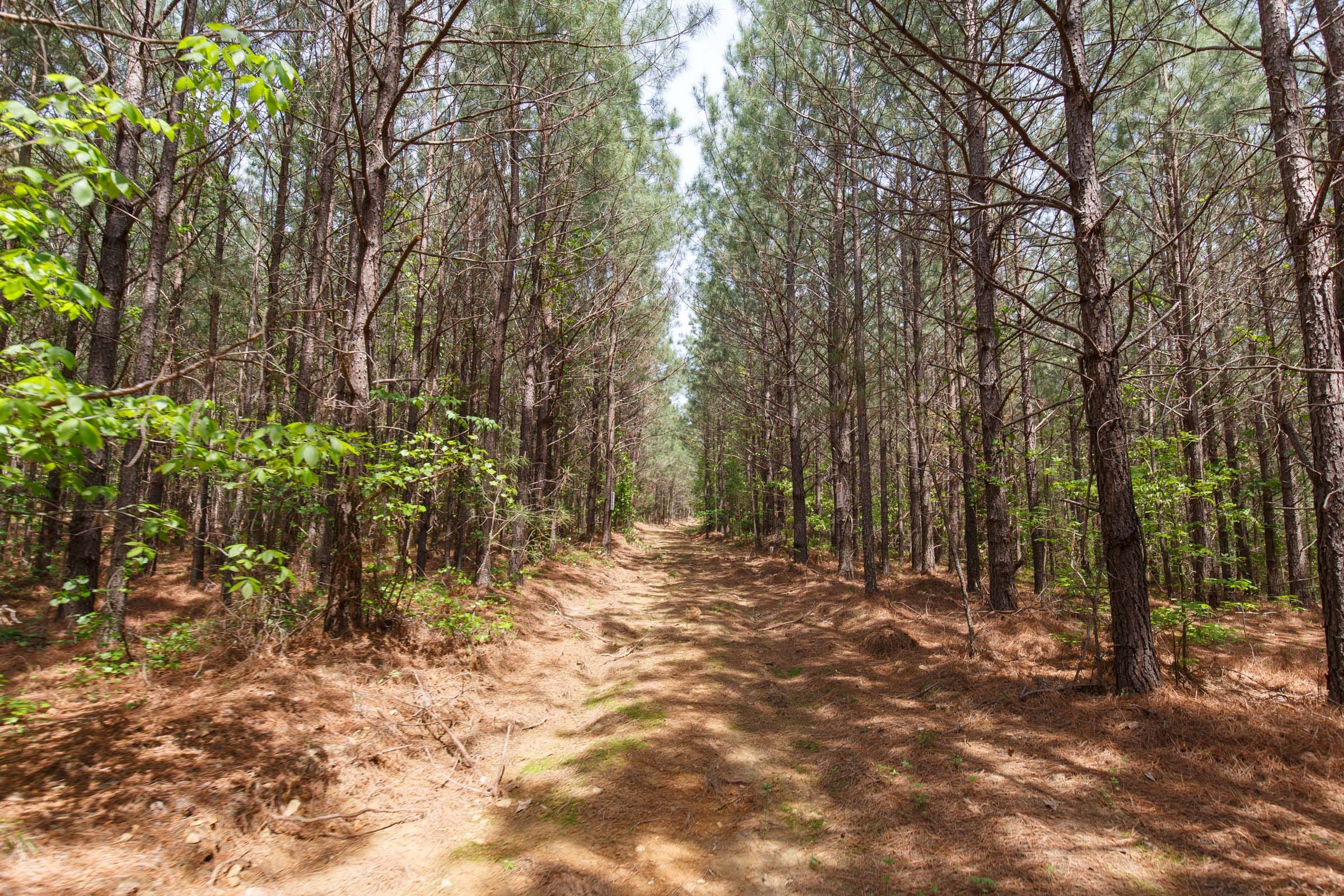 Red Barn Ranch Tract 52 photo 1