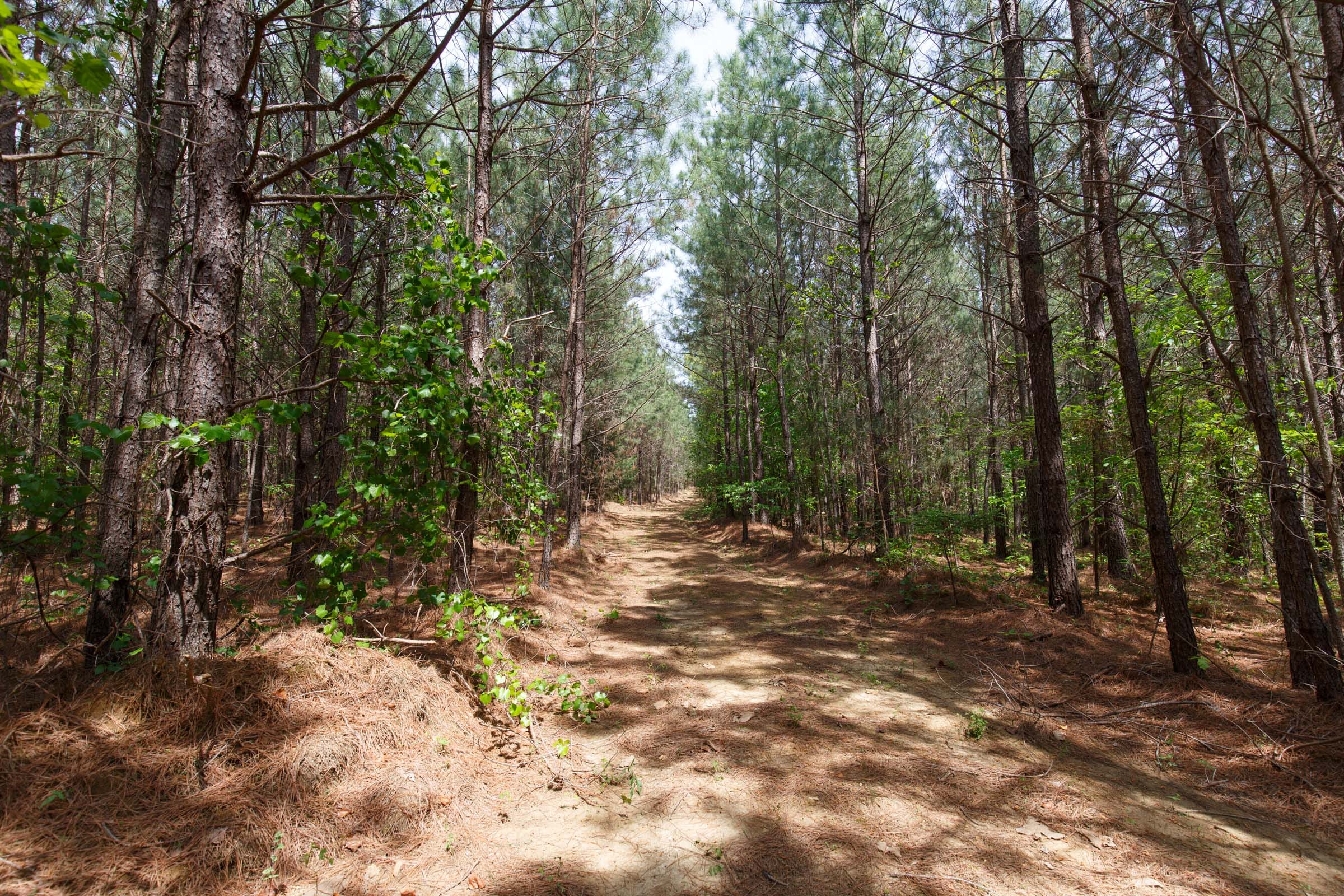 Red Barn Ranch Tract 52 photo 5