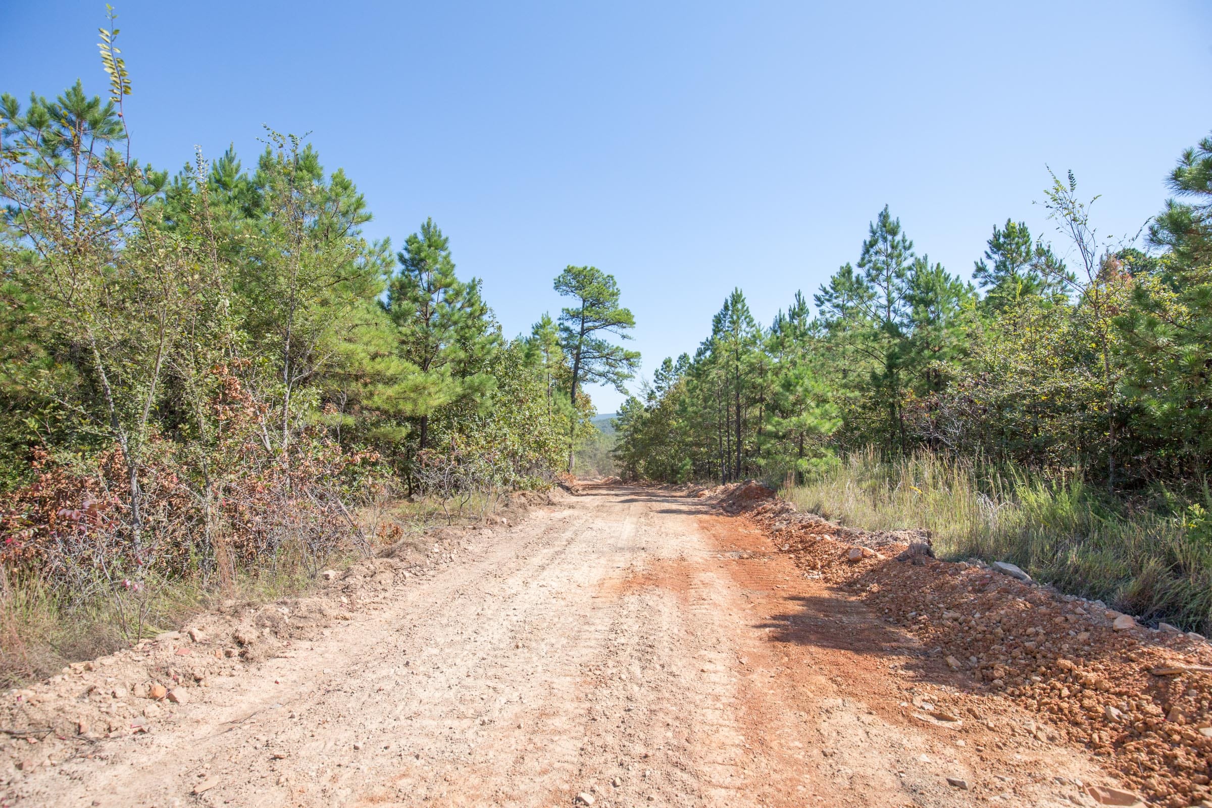 Stone Bridge Phase I Tract 67 photo 9