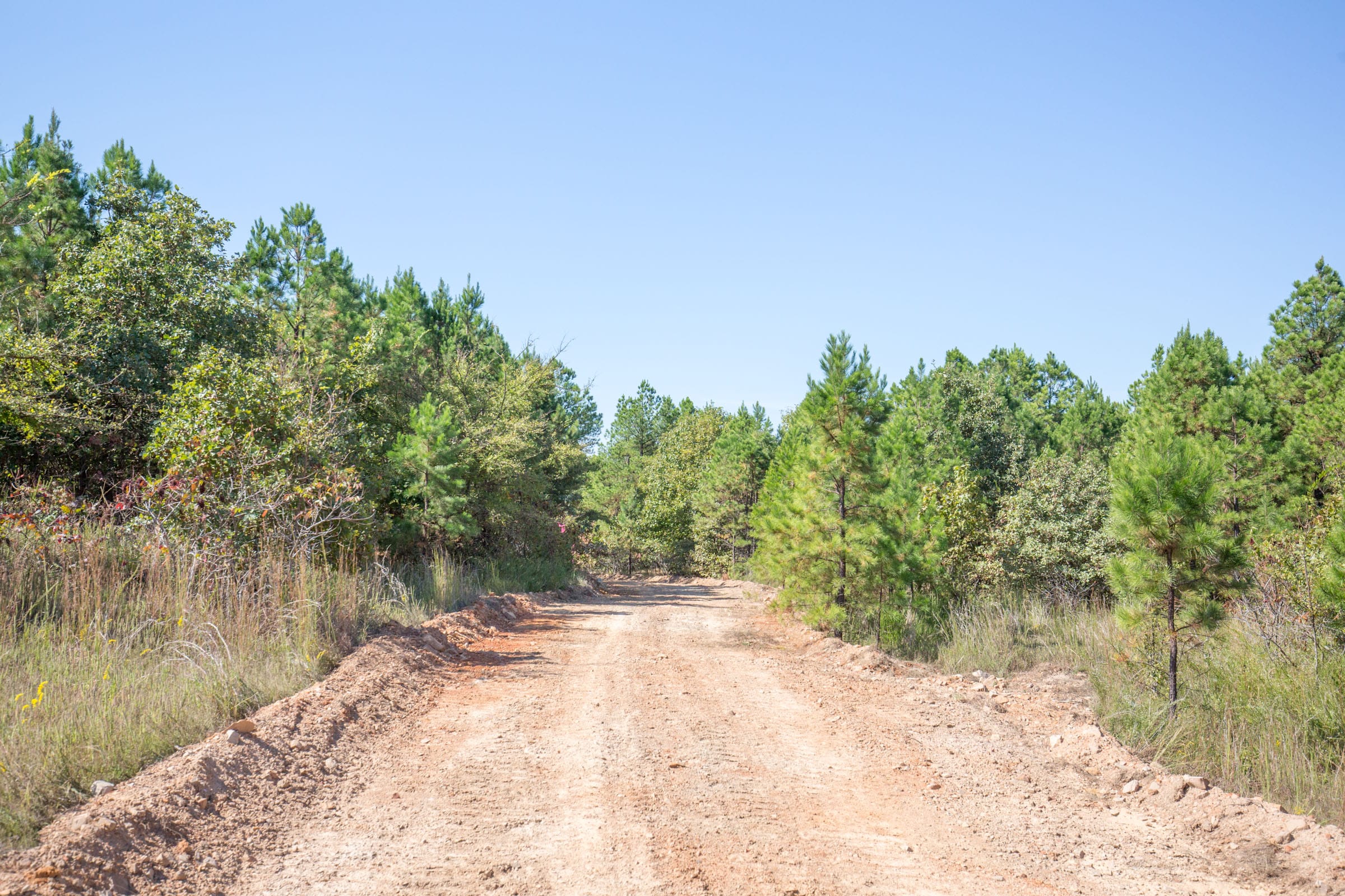 Stone Bridge Phase I Tract 67 photo 11