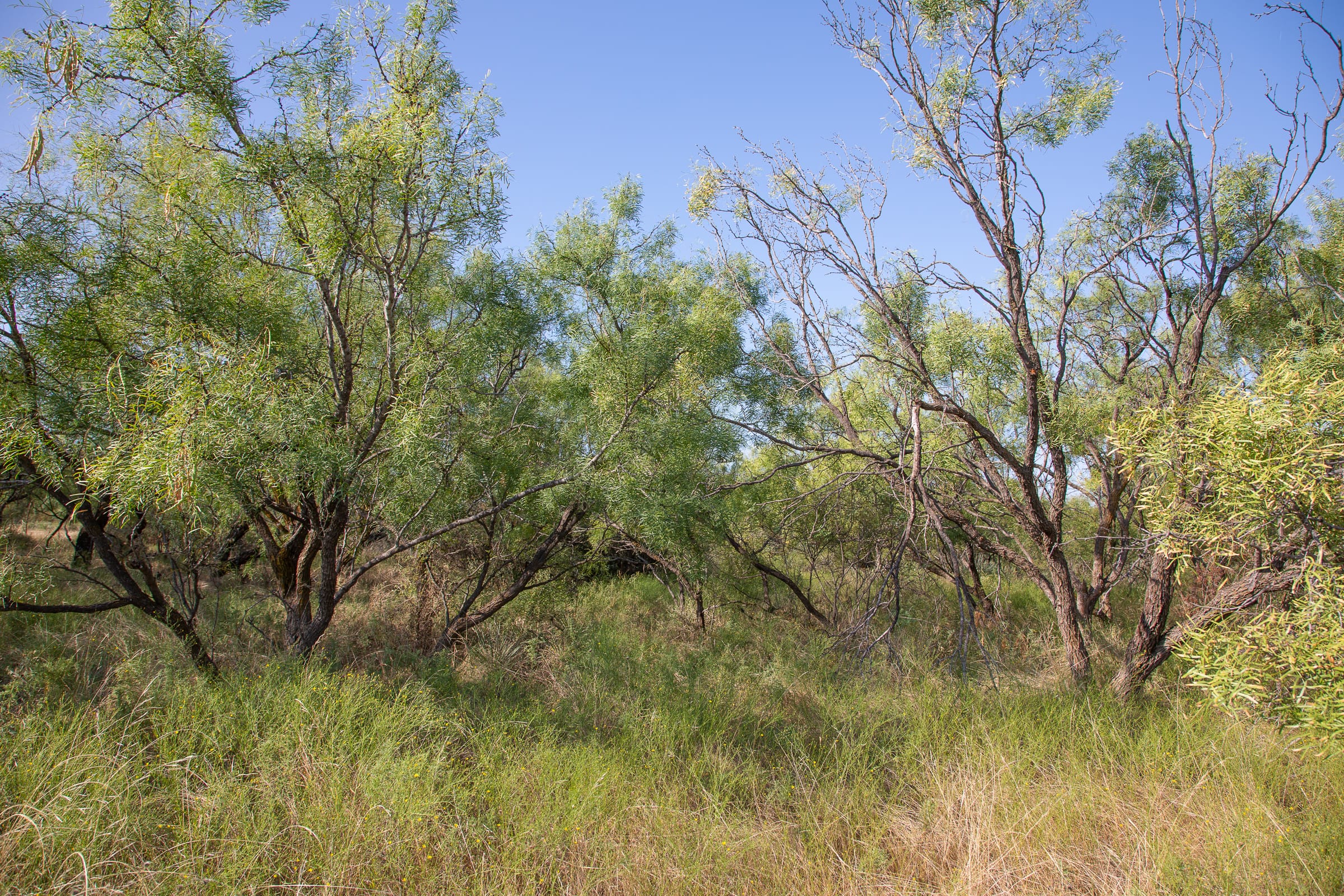 Hunter’s Ranch Tract 23 photo 2
