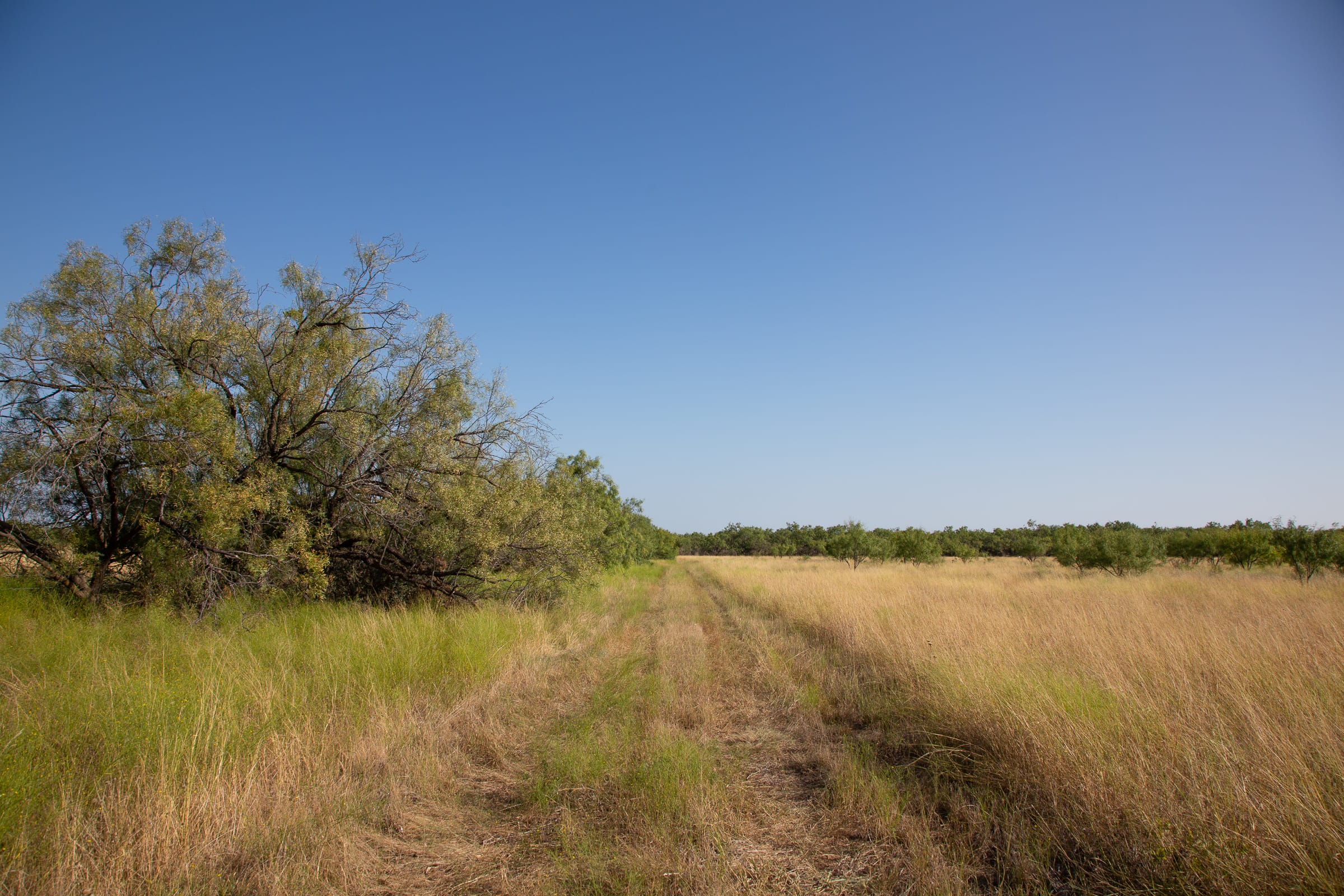Hunter’s Ranch Tract 23 photo 3