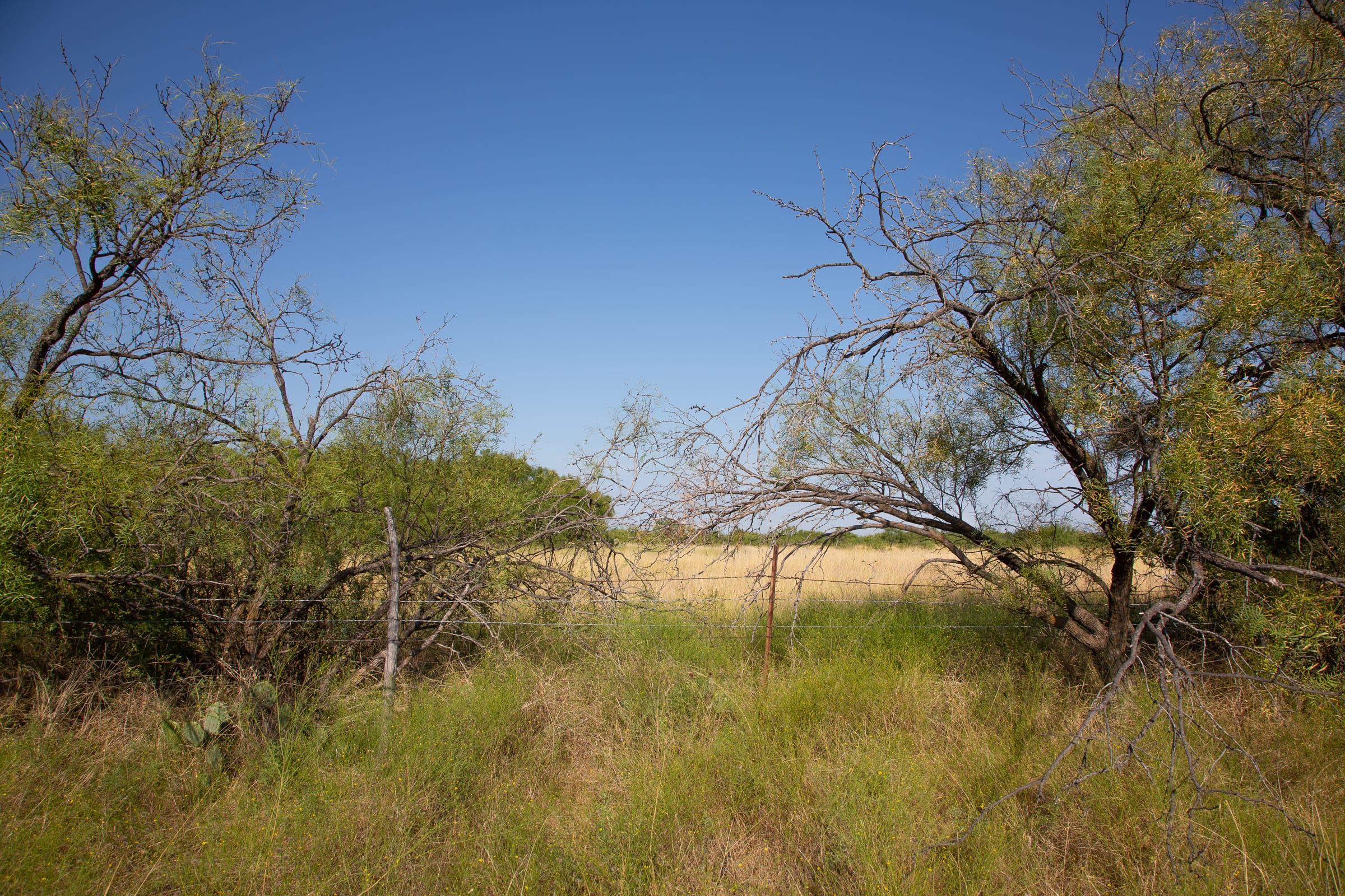 Hunter’s Ranch Tract 23 photo 4