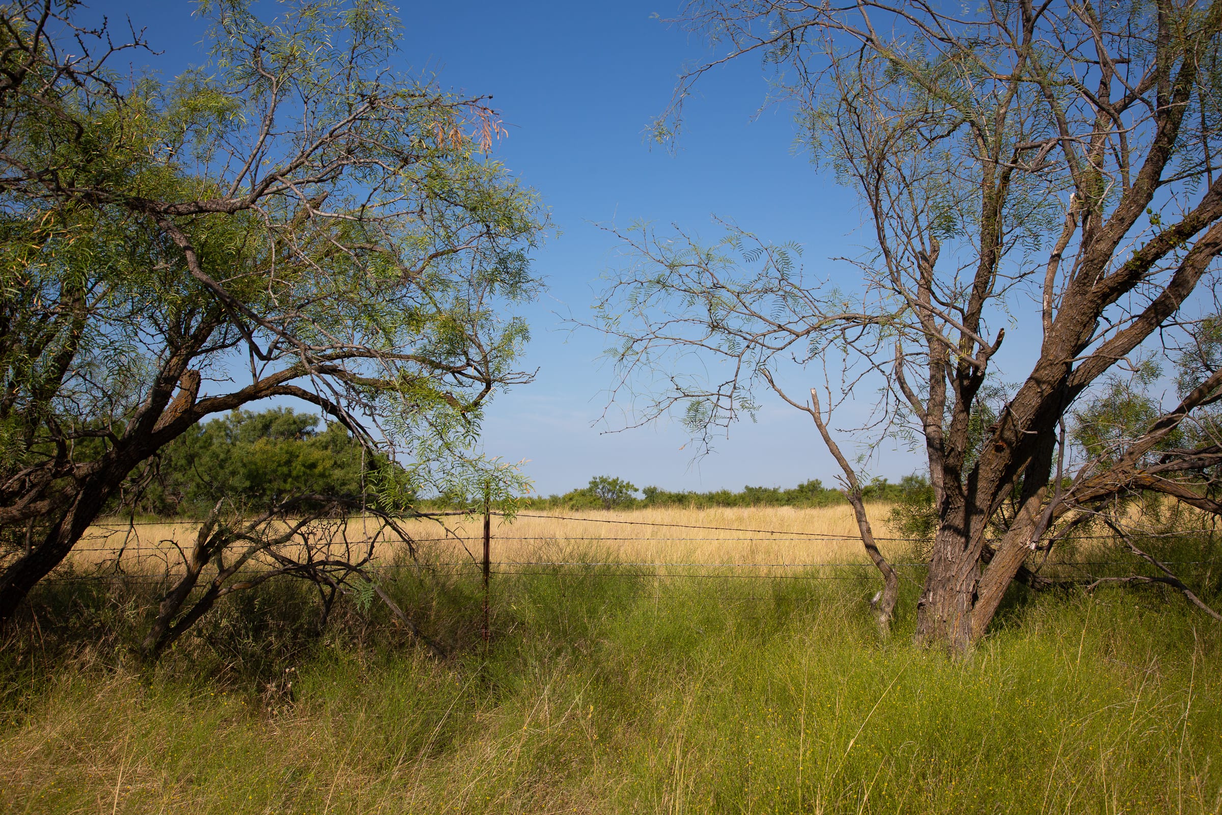 Hunter’s Ranch Tract 23 photo 5