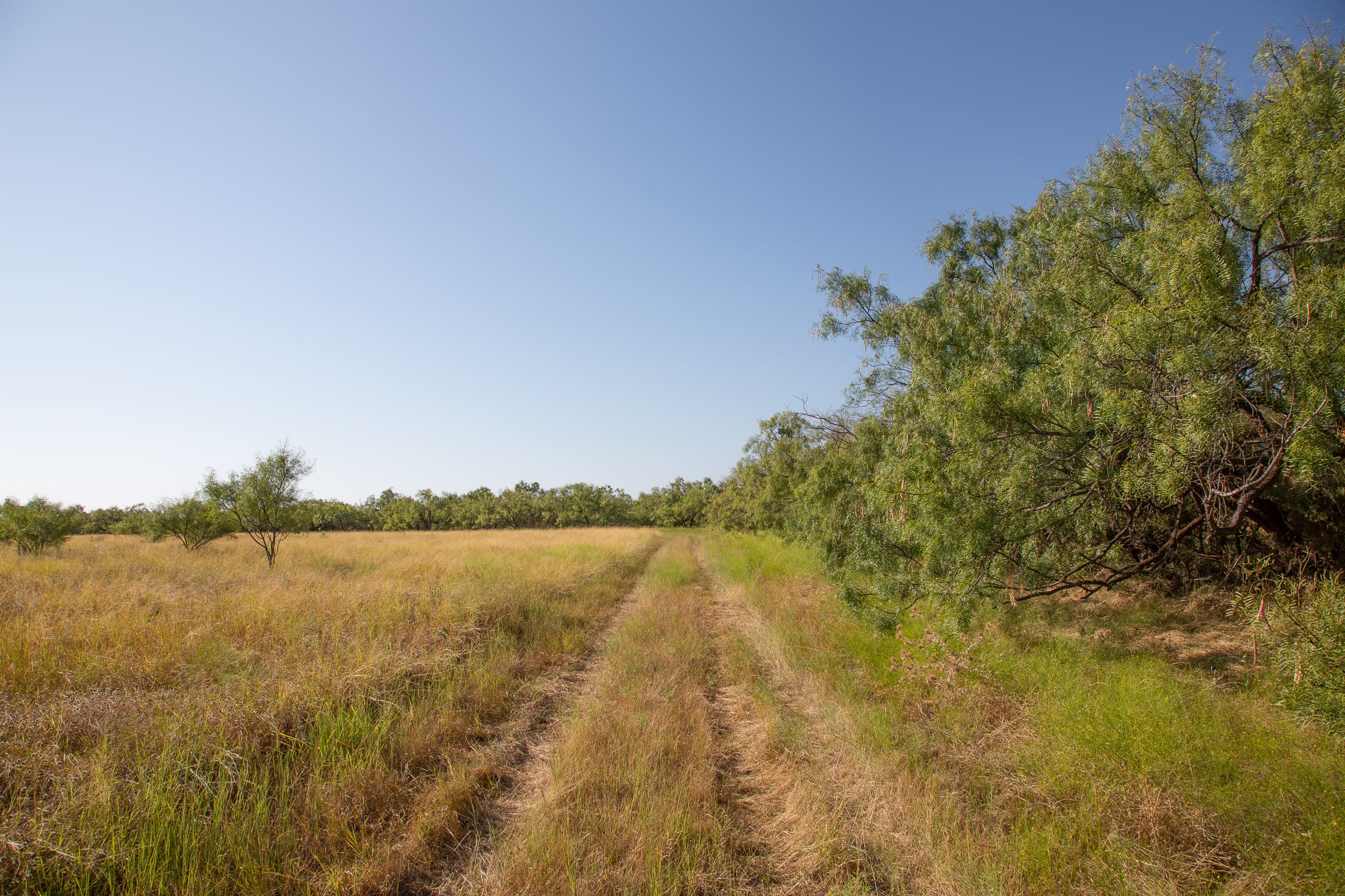 Hunter’s Ranch Tract 23 photo 7