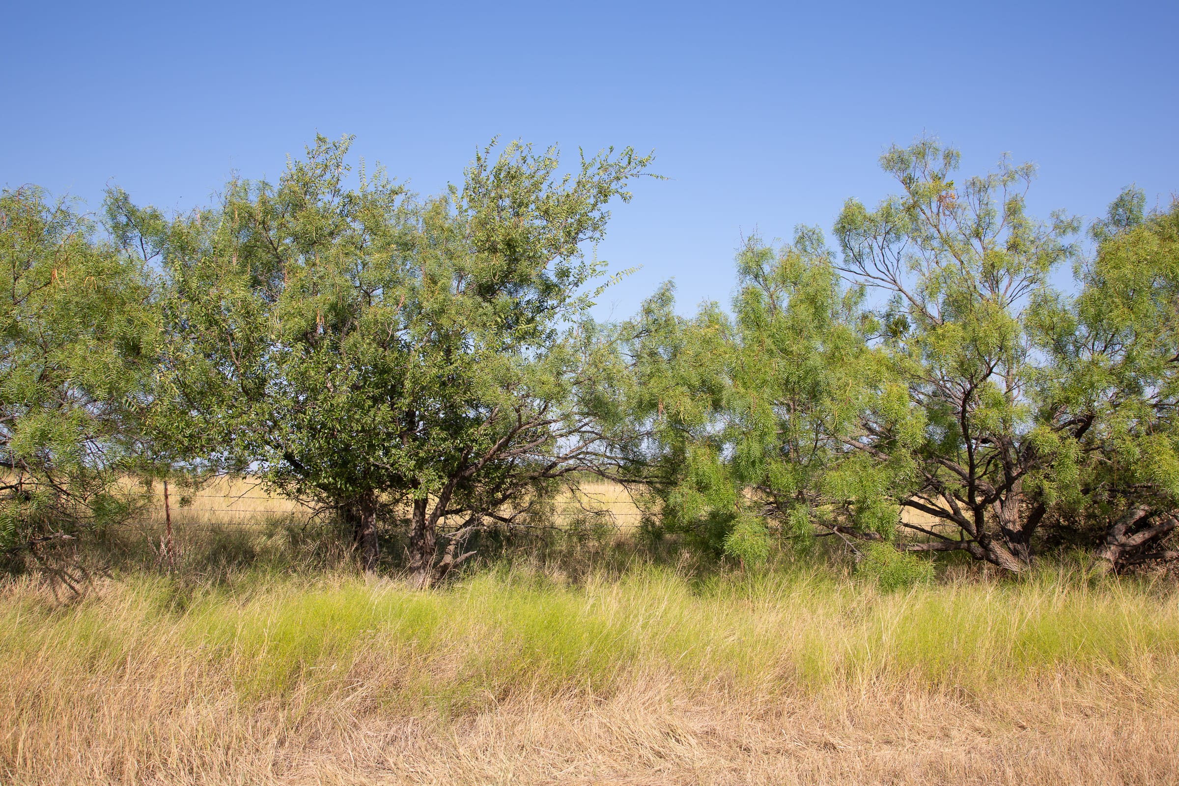 Hunter’s Ranch Tract 23 photo 8