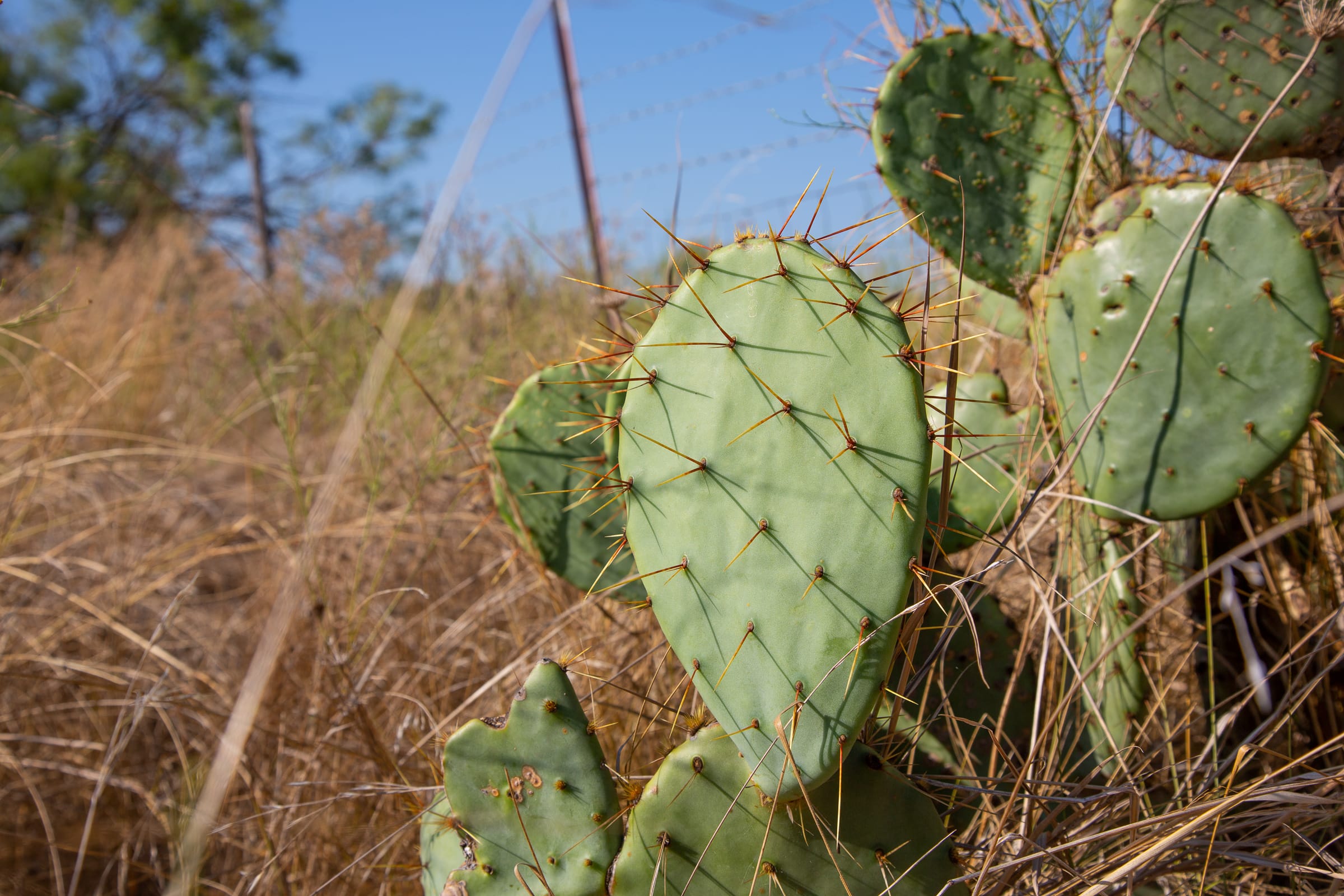 Hunter’s Ranch Tract 23 photo 11
