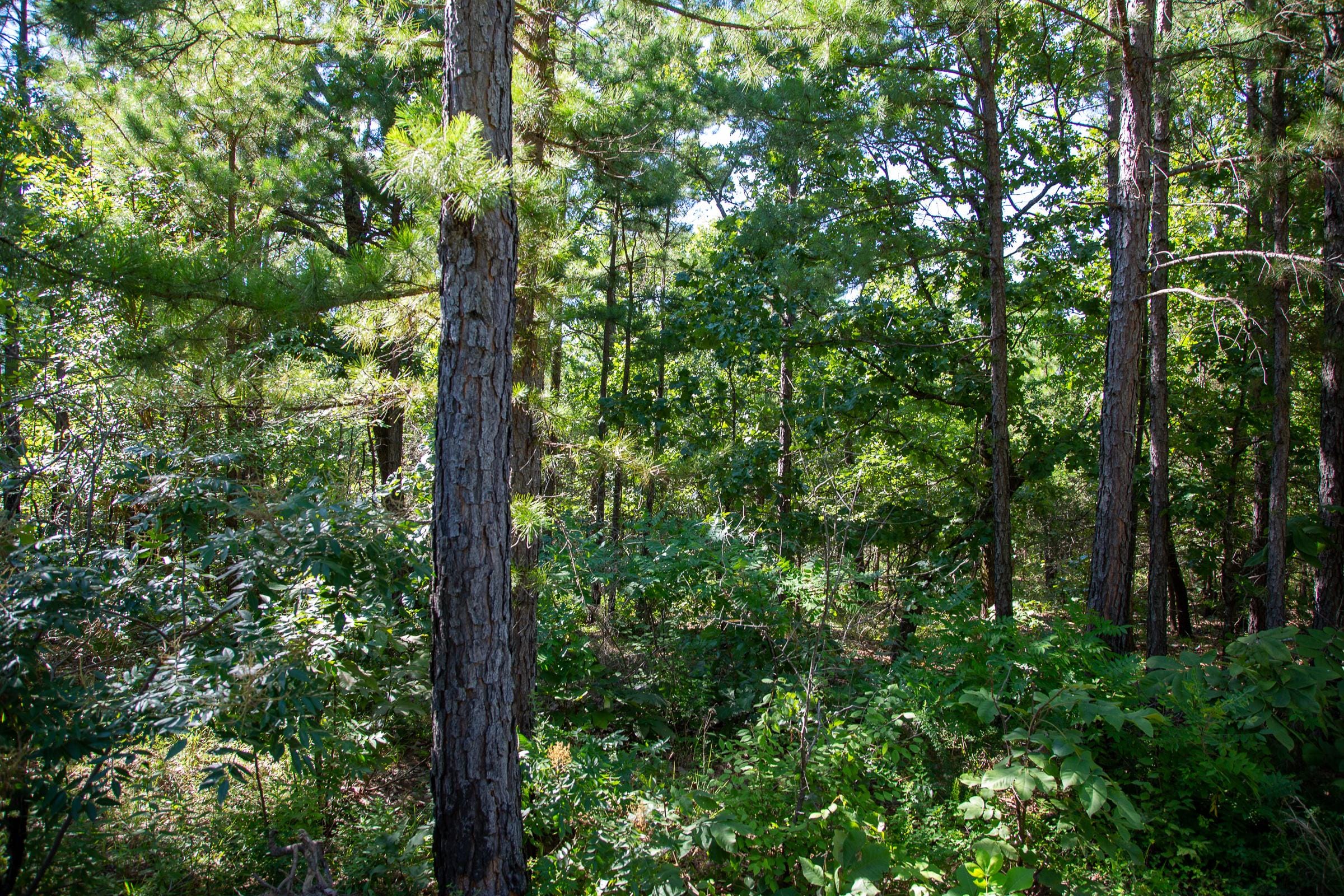 Tyler Stone Ranch Tract 16 photo 2