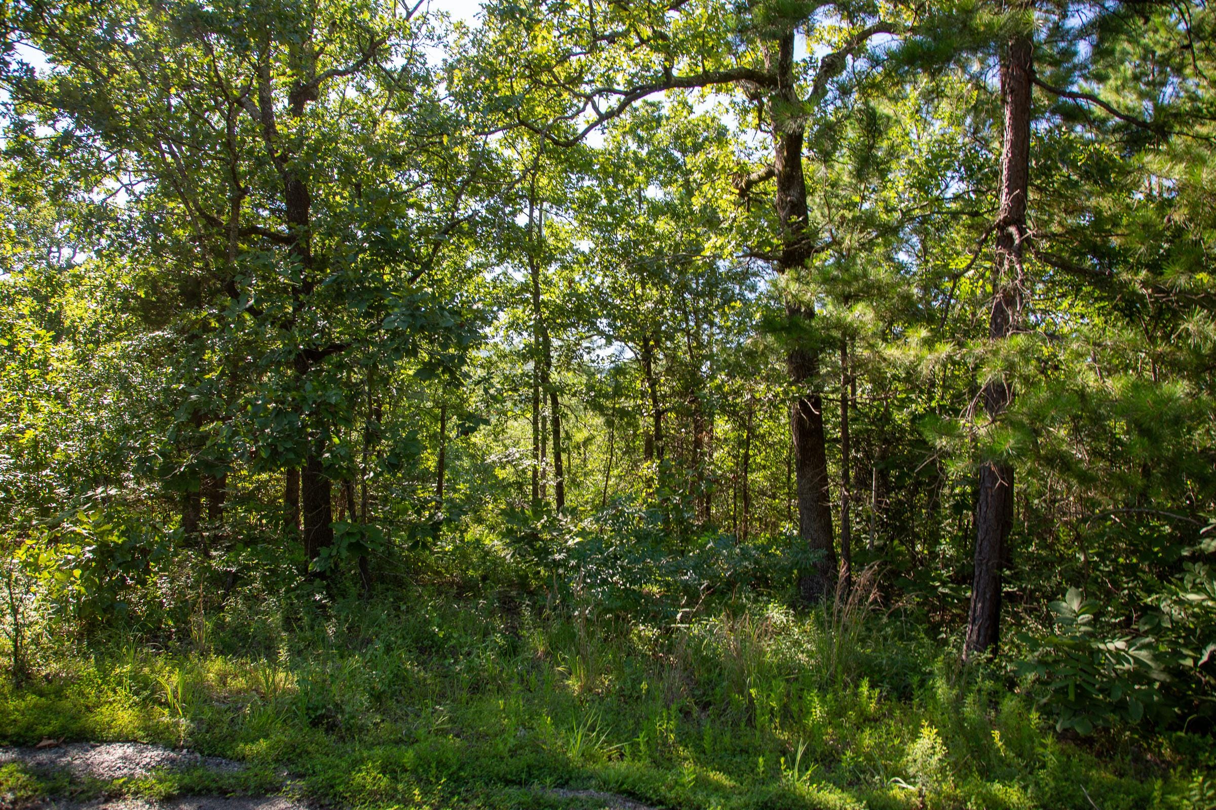 Tyler Stone Ranch Tract 16 photo 3