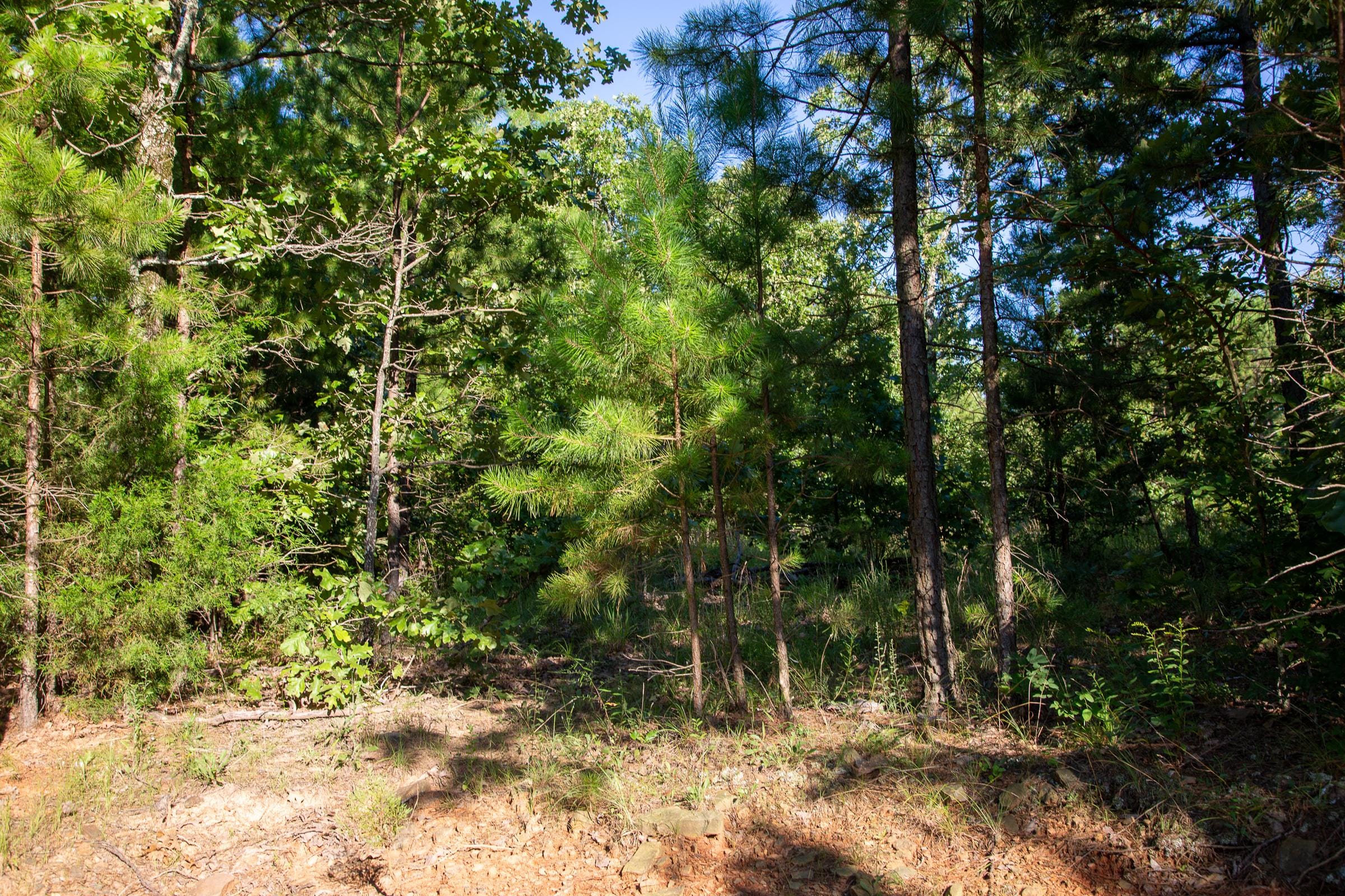Tyler Stone Ranch Tract 16 photo 6