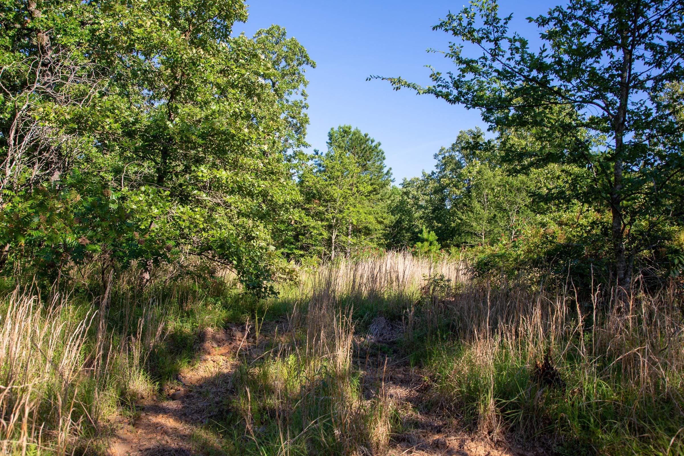 Tyler Stone Ranch Tract 16 photo 11