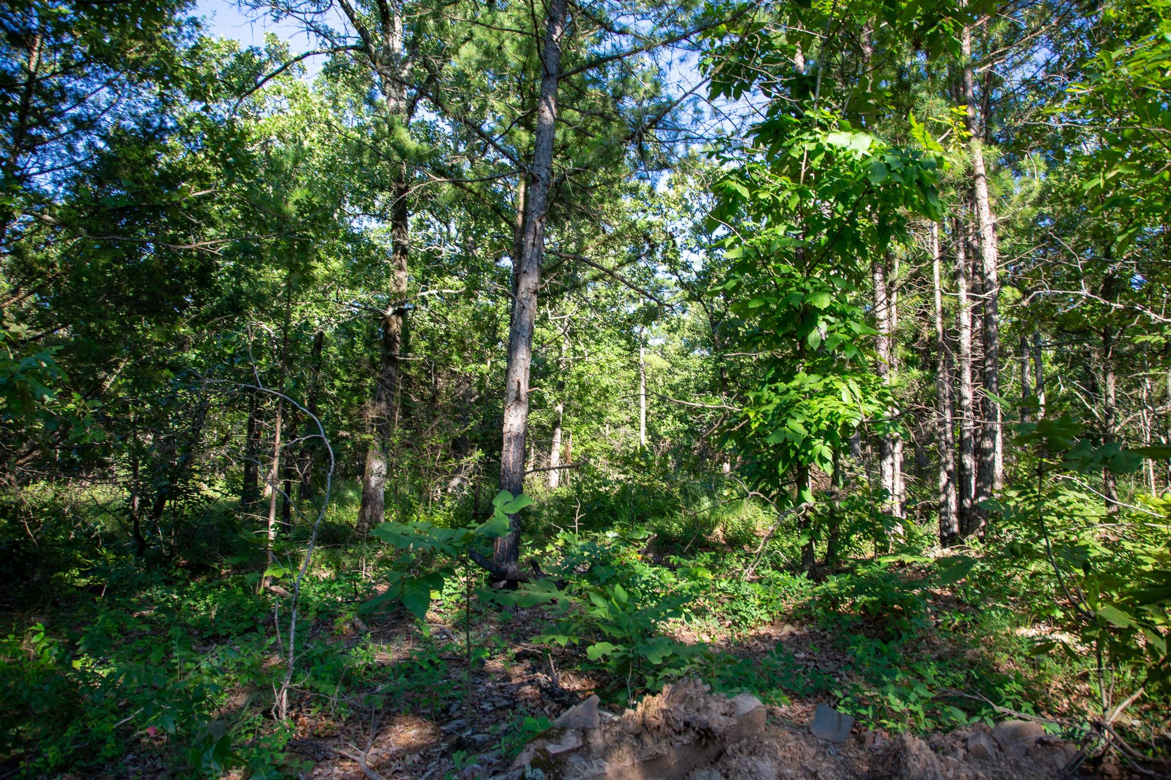 Tyler Stone Ranch Tract 16 photo 13