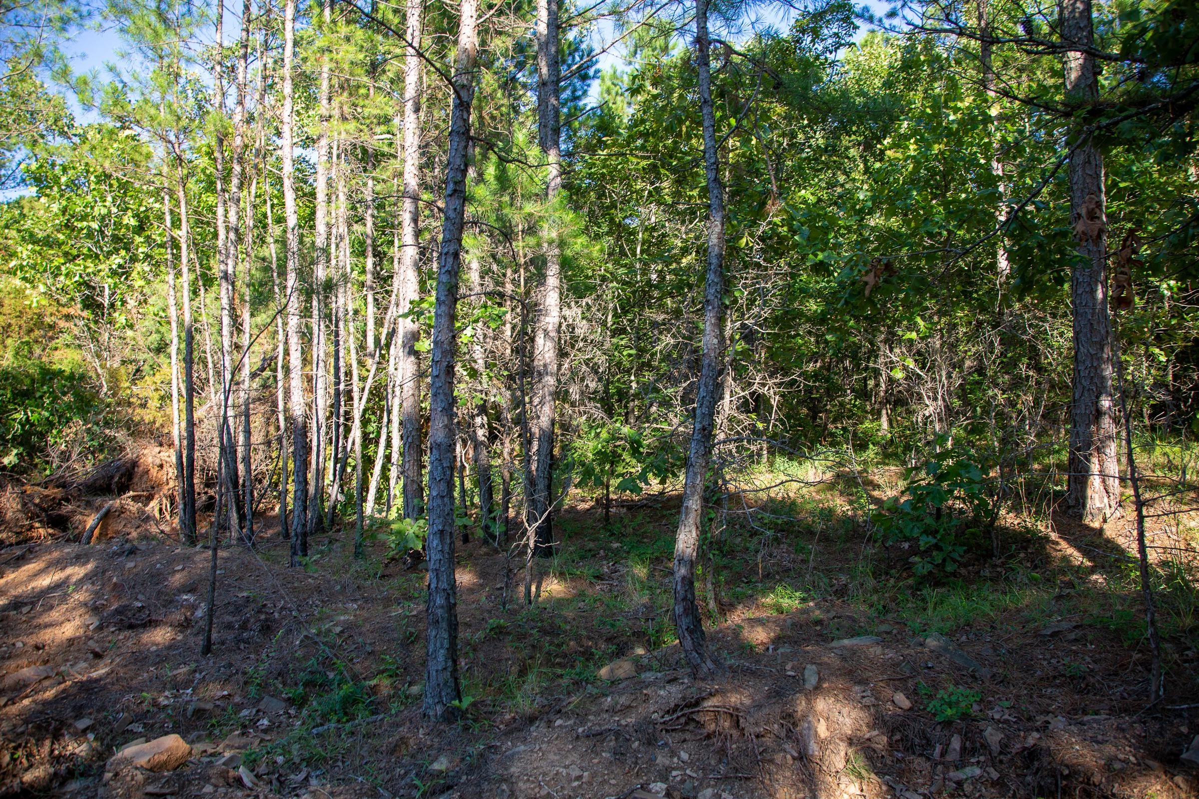 Tyler Stone Ranch Tract 16 photo 14