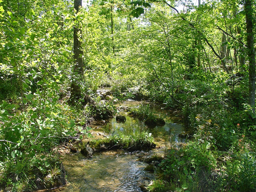 Antler Ridge Tract 22 photo 5