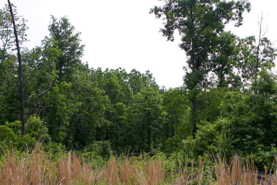 Thunder Mountain Ranch Tract 32 photo 1