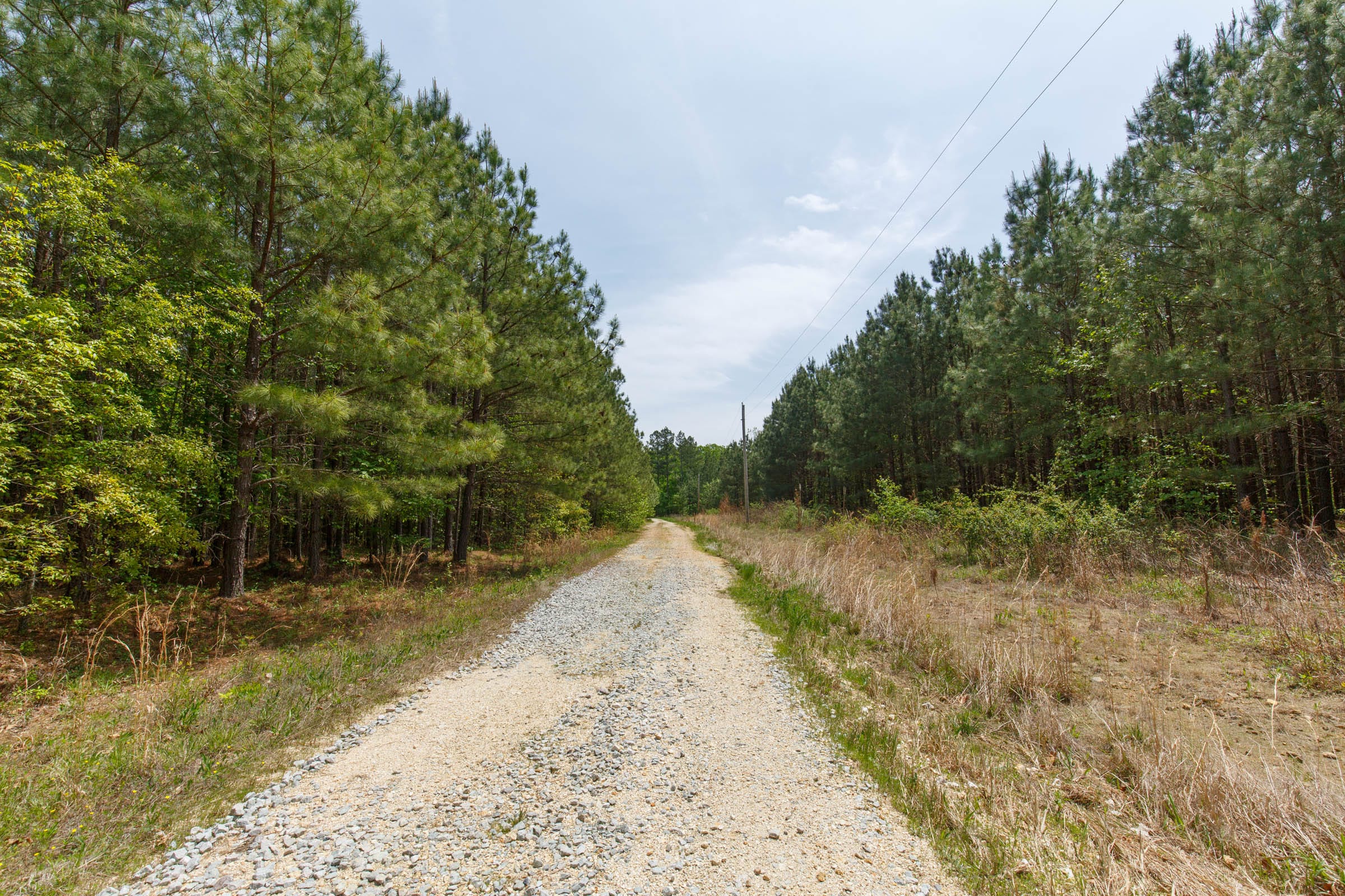 Red Barn Ranch Tract 64 photo 1