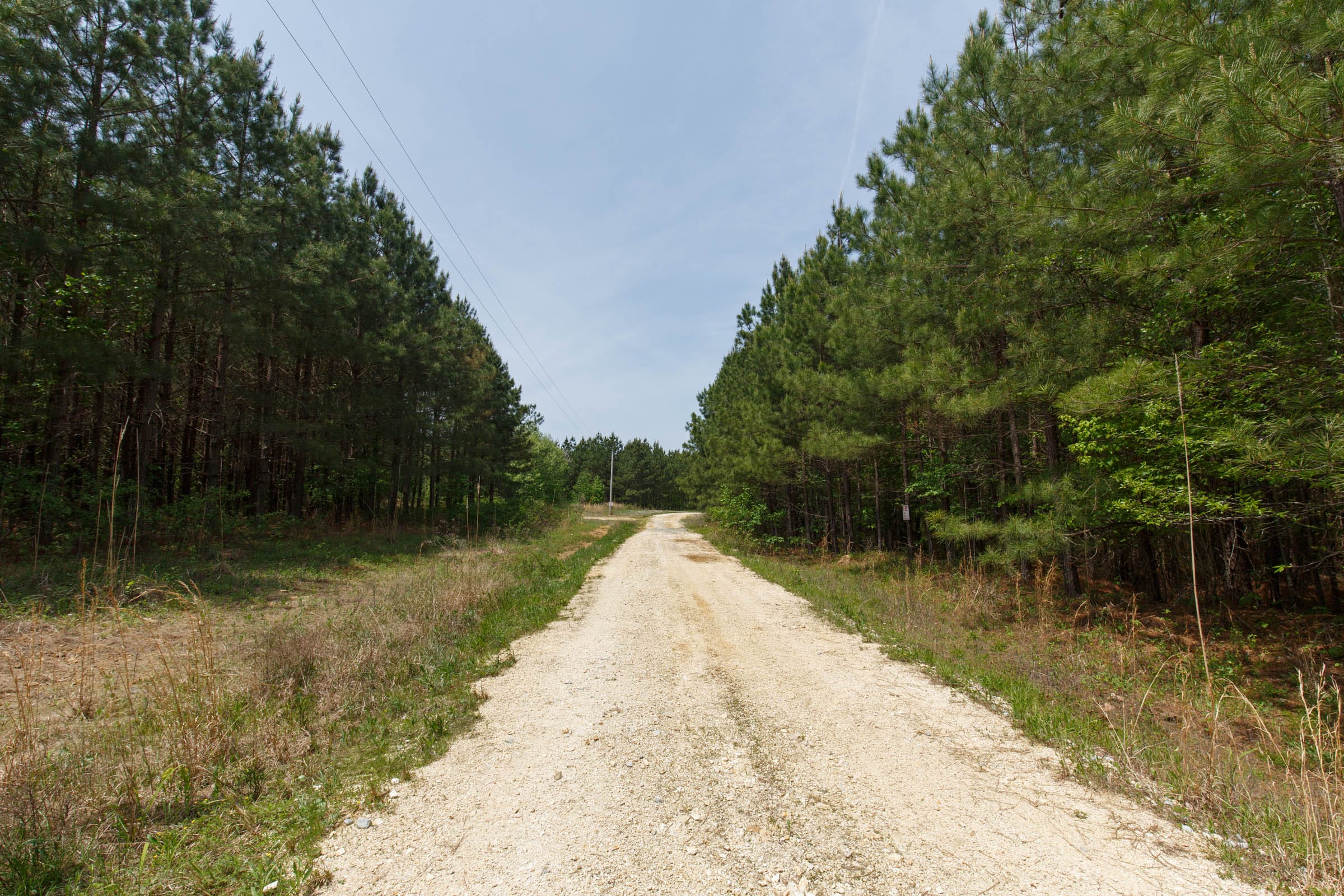 Red Barn Ranch Tract 64 photo 4