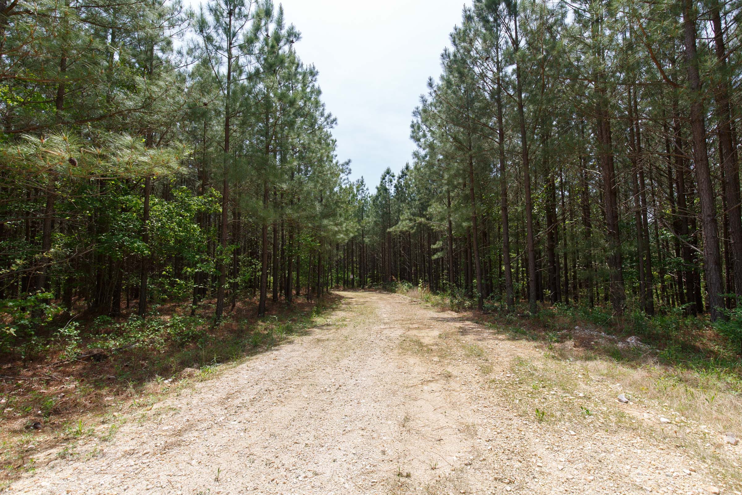 Red Barn Ranch Tract 64 photo 7