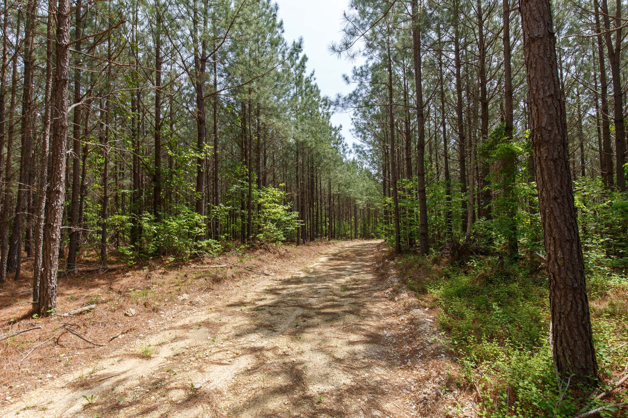 Red Barn Ranch Tract 64 photo 10
