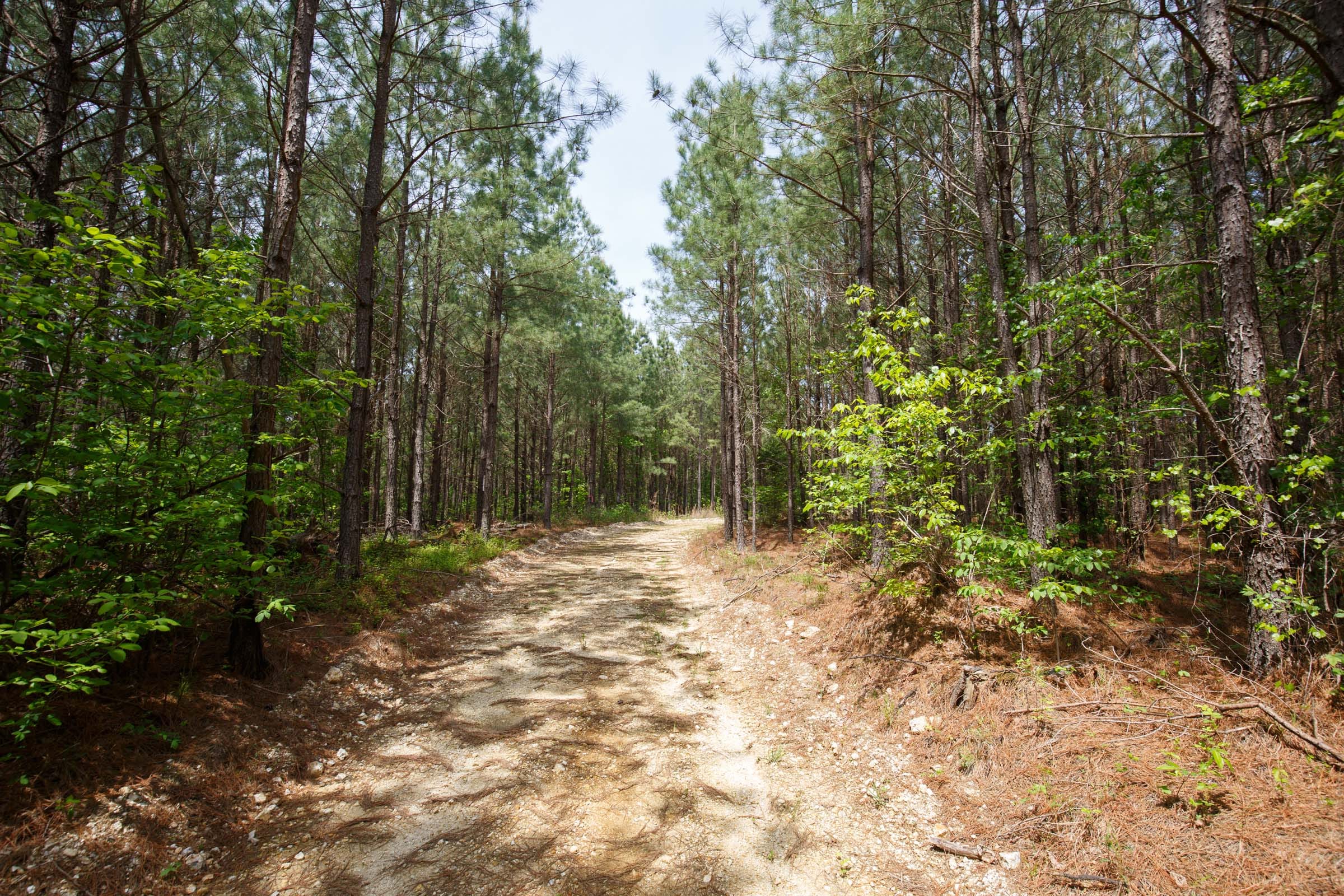 Red Barn Ranch Tract 64 photo 14