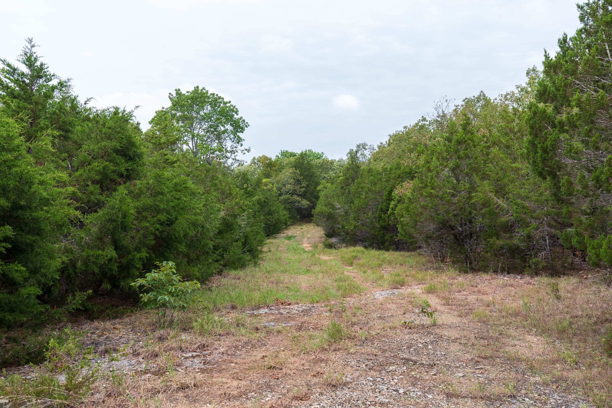 Heritage Bend Tract 35 photo 2