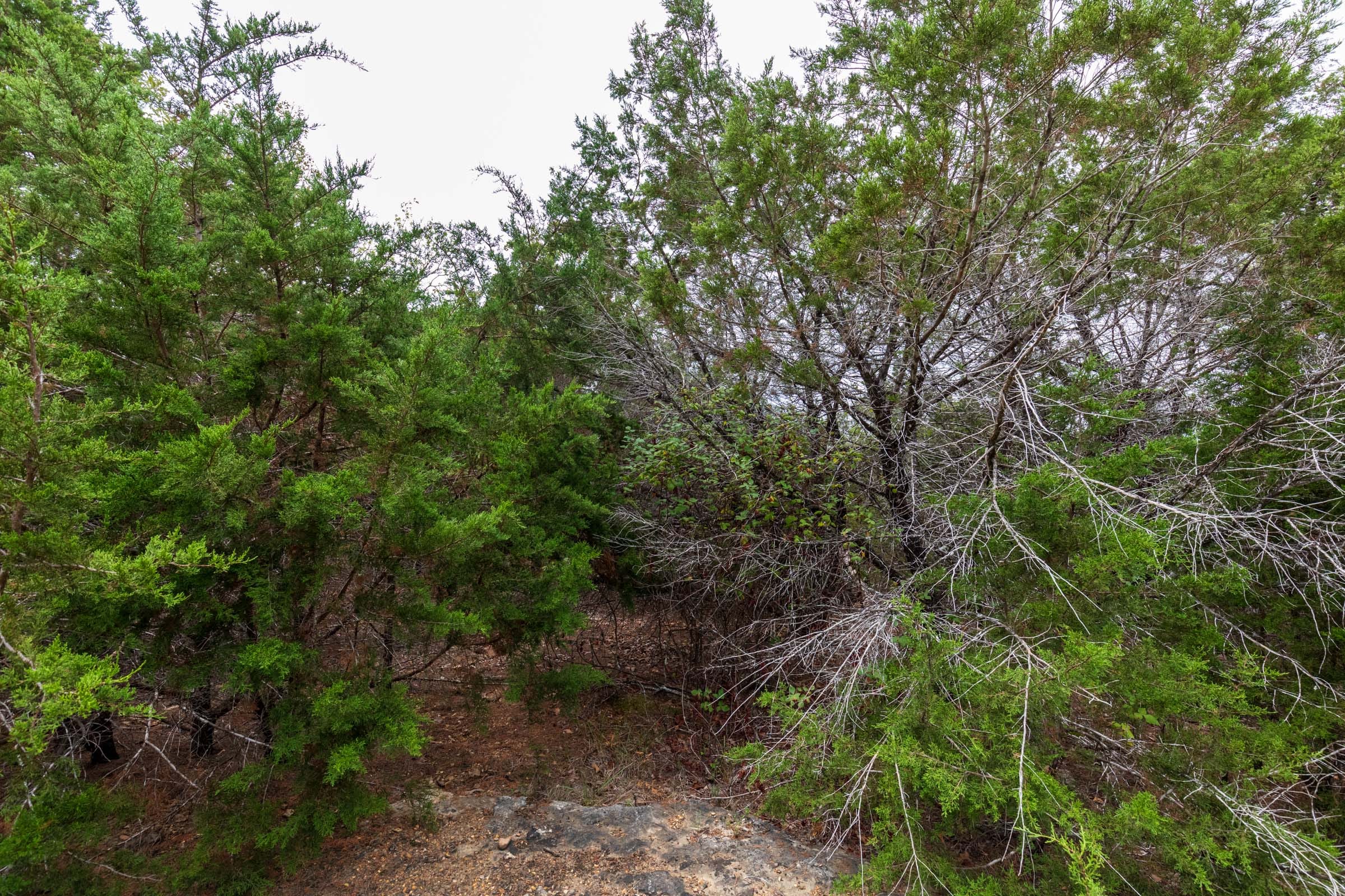 Heritage Bend Tract 35 photo 3