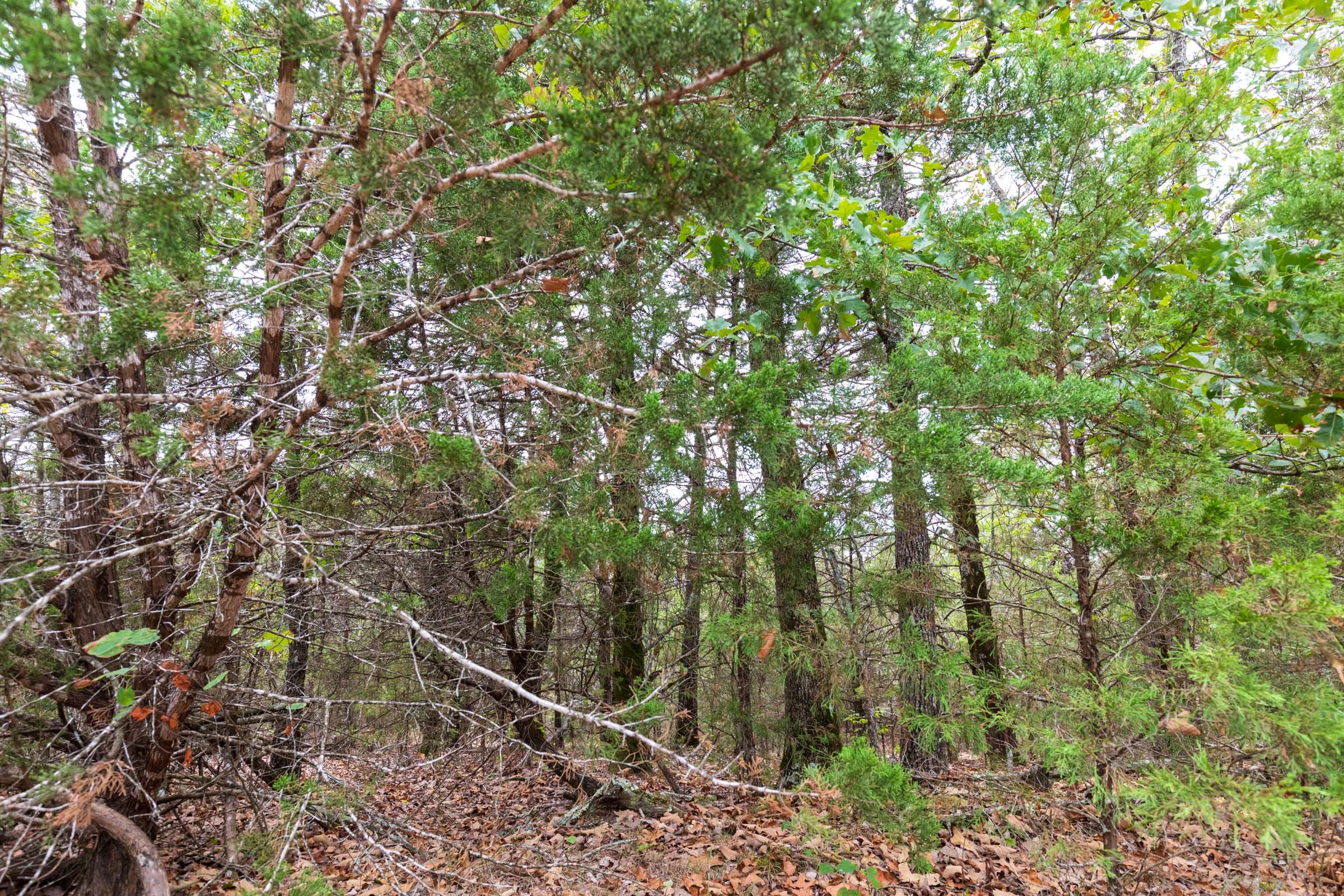 Heritage Bend Tract 35 photo 5