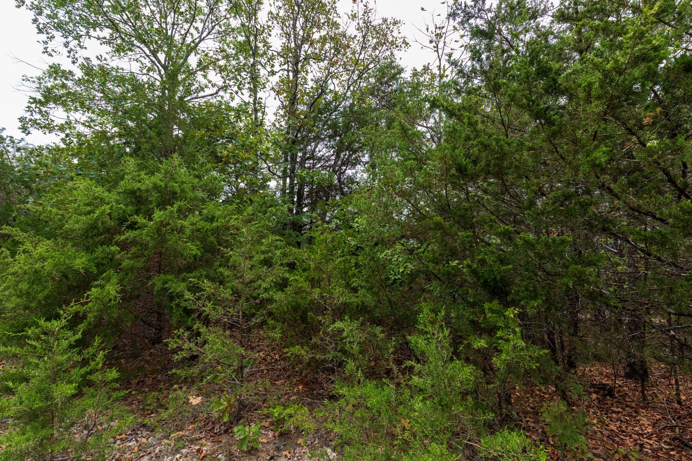 Heritage Bend Tract 35 photo 7