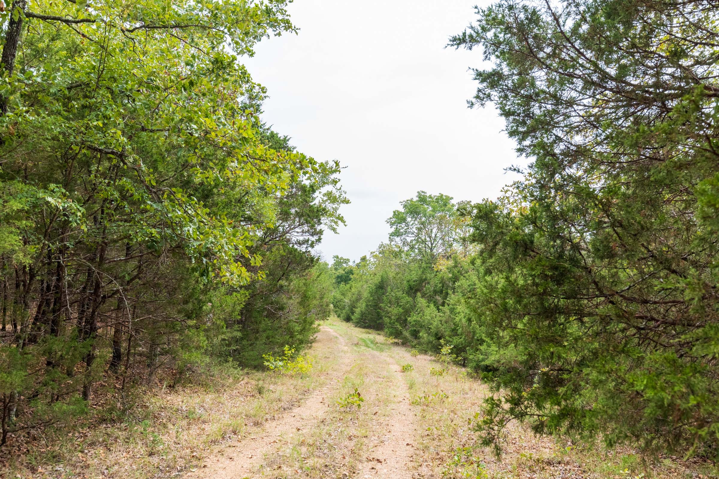 Heritage Bend Tract 35 photo 17