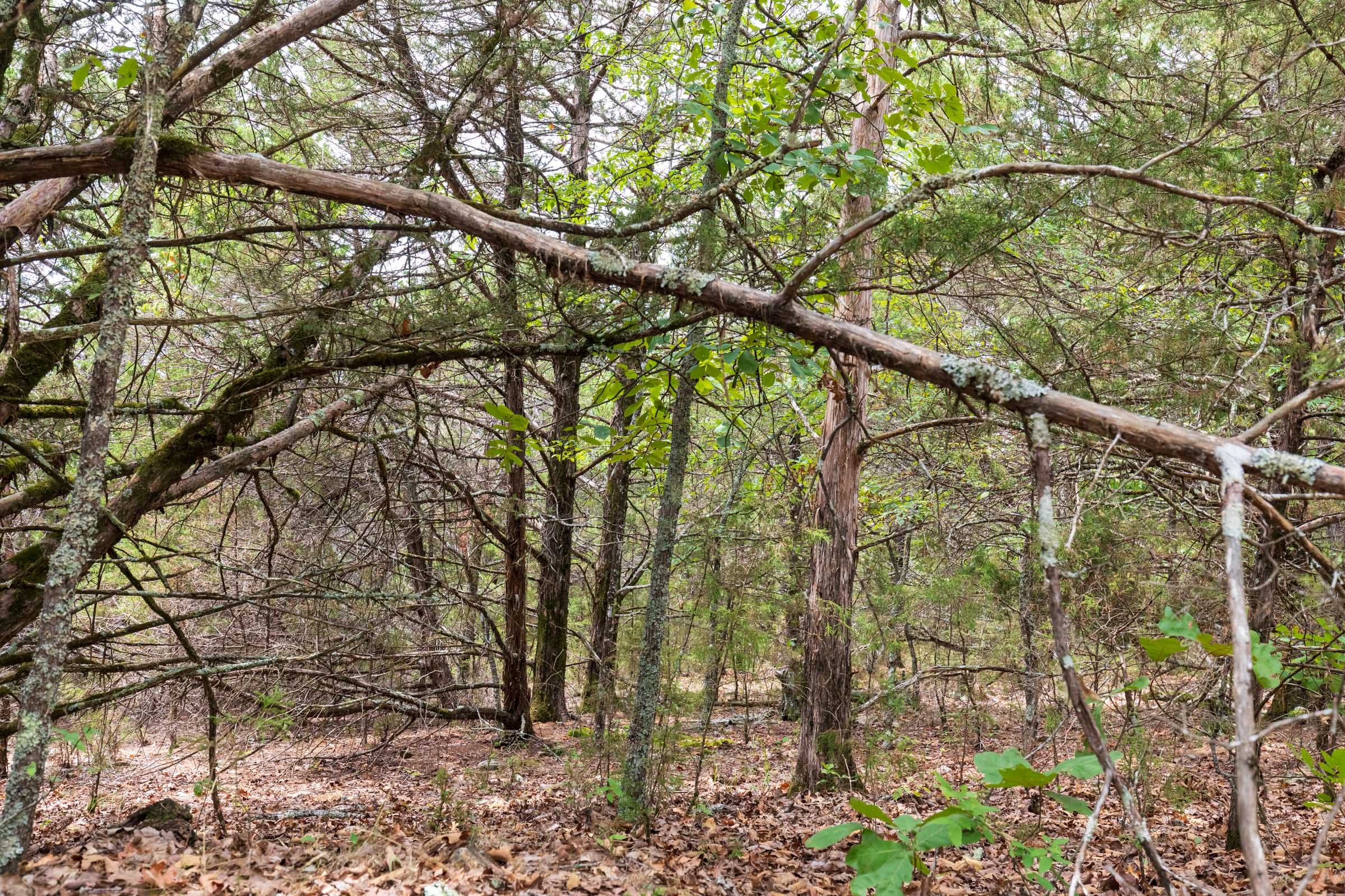 Heritage Bend Tract 35 photo 6