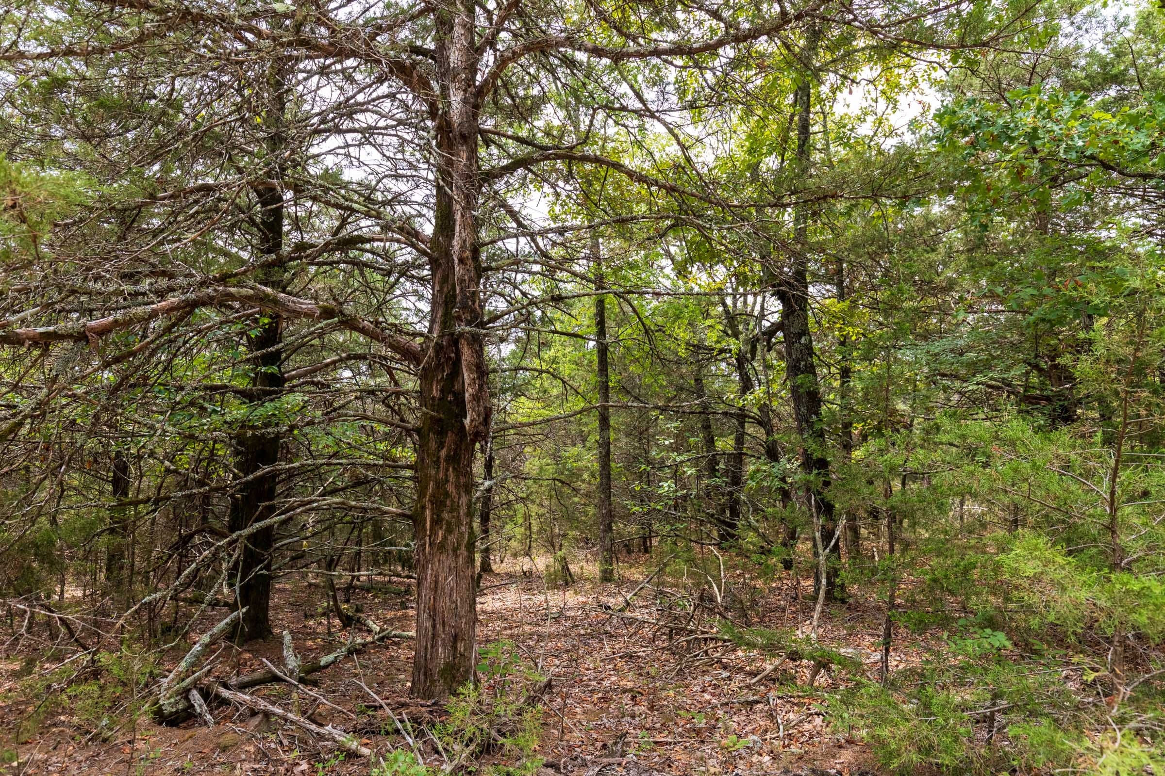 Heritage Bend Tract 35 photo 8