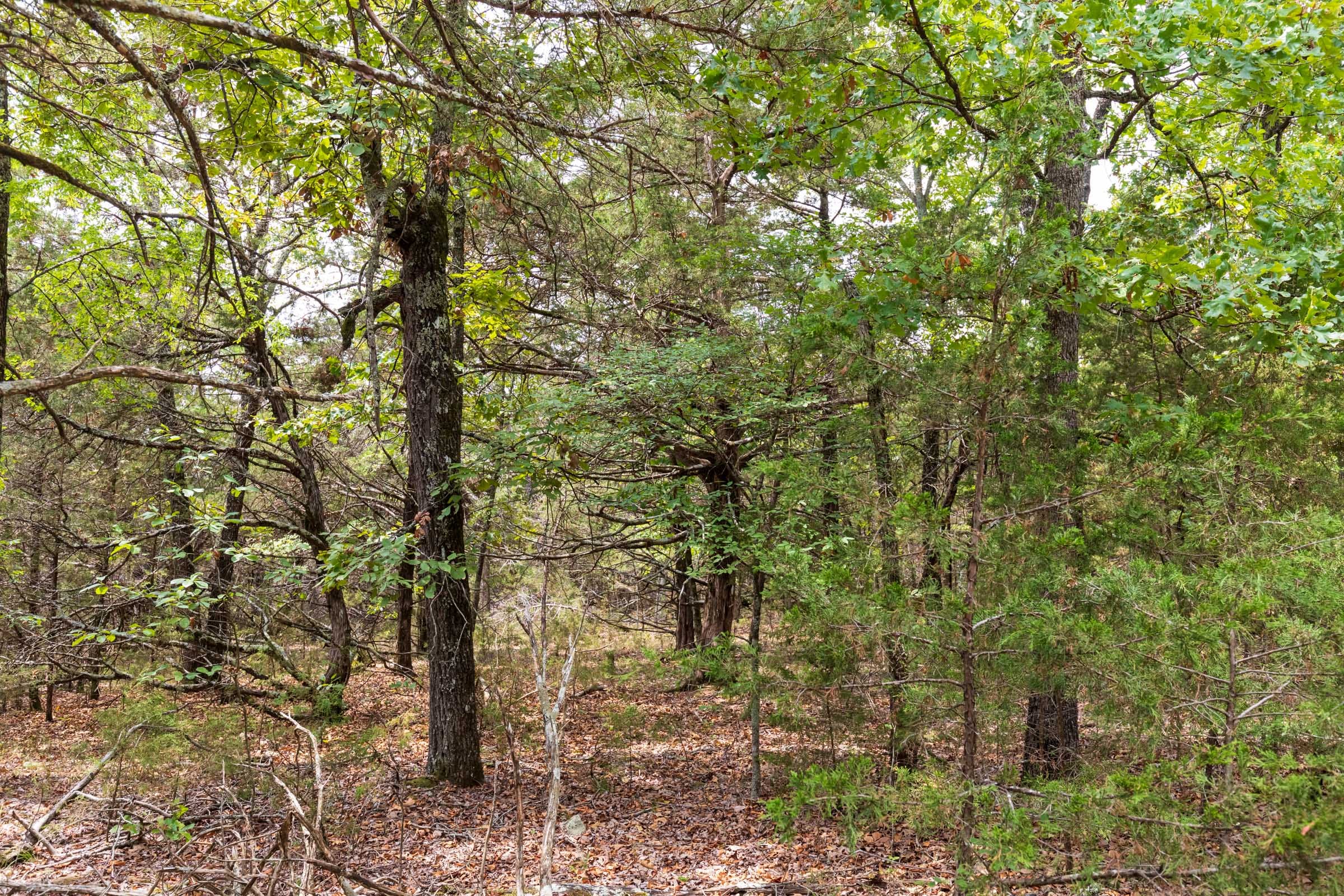 Heritage Bend Tract 35 photo 11