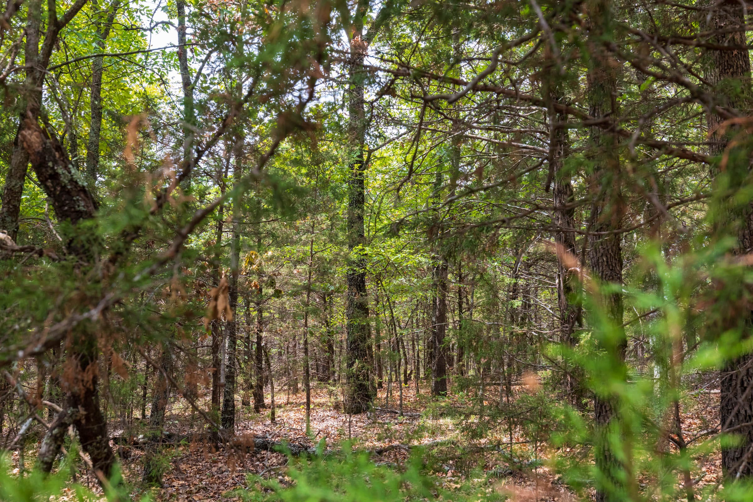 Heritage Bend Tract 35 photo 10