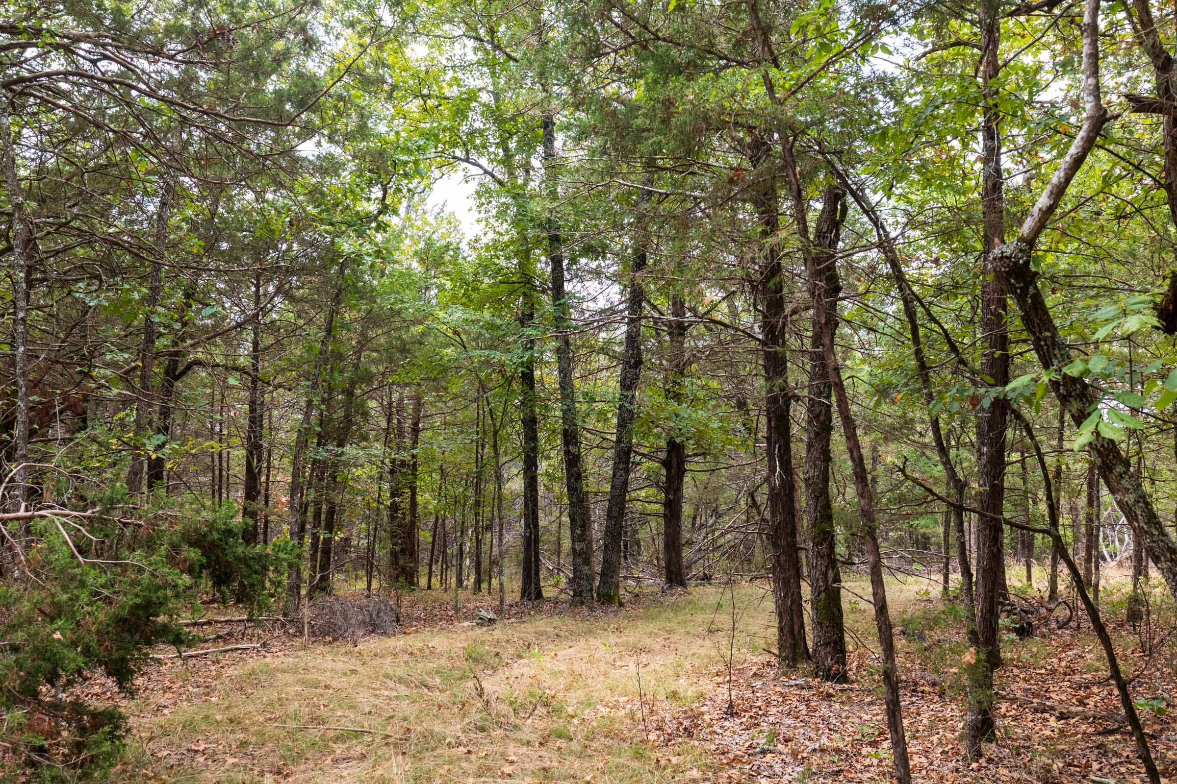 Heritage Bend Tract 35 photo 13