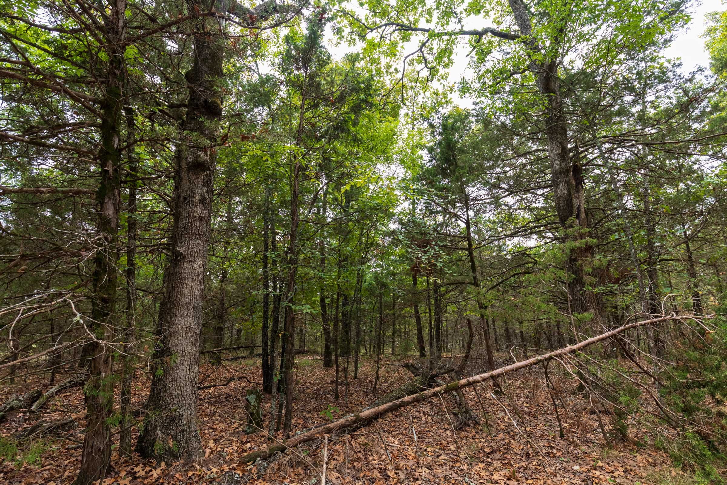 Heritage Bend Tract 35 photo 12