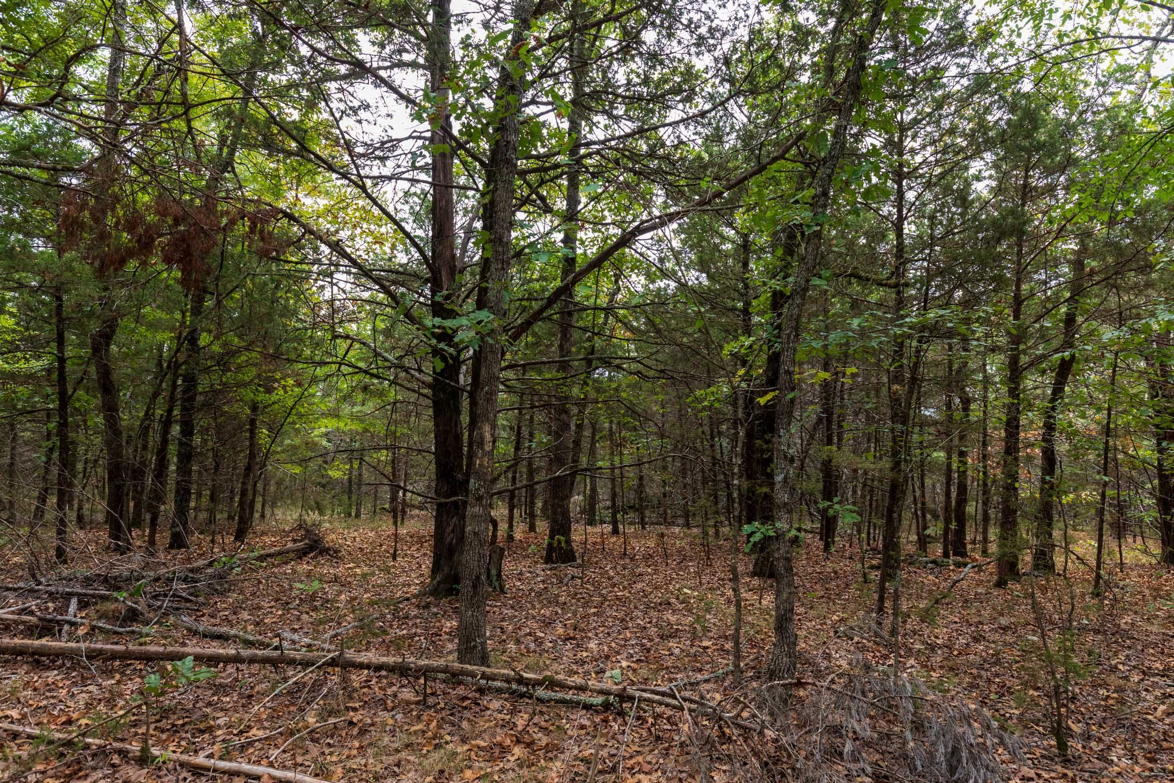 Heritage Bend Tract 35 photo 14