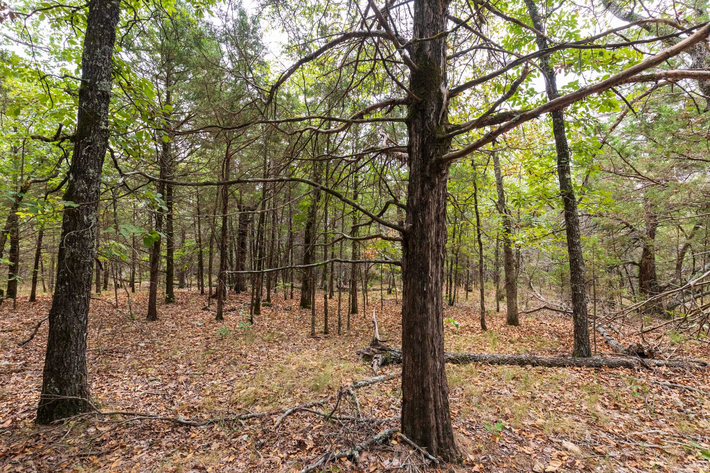 Heritage Bend Tract 35 photo 15