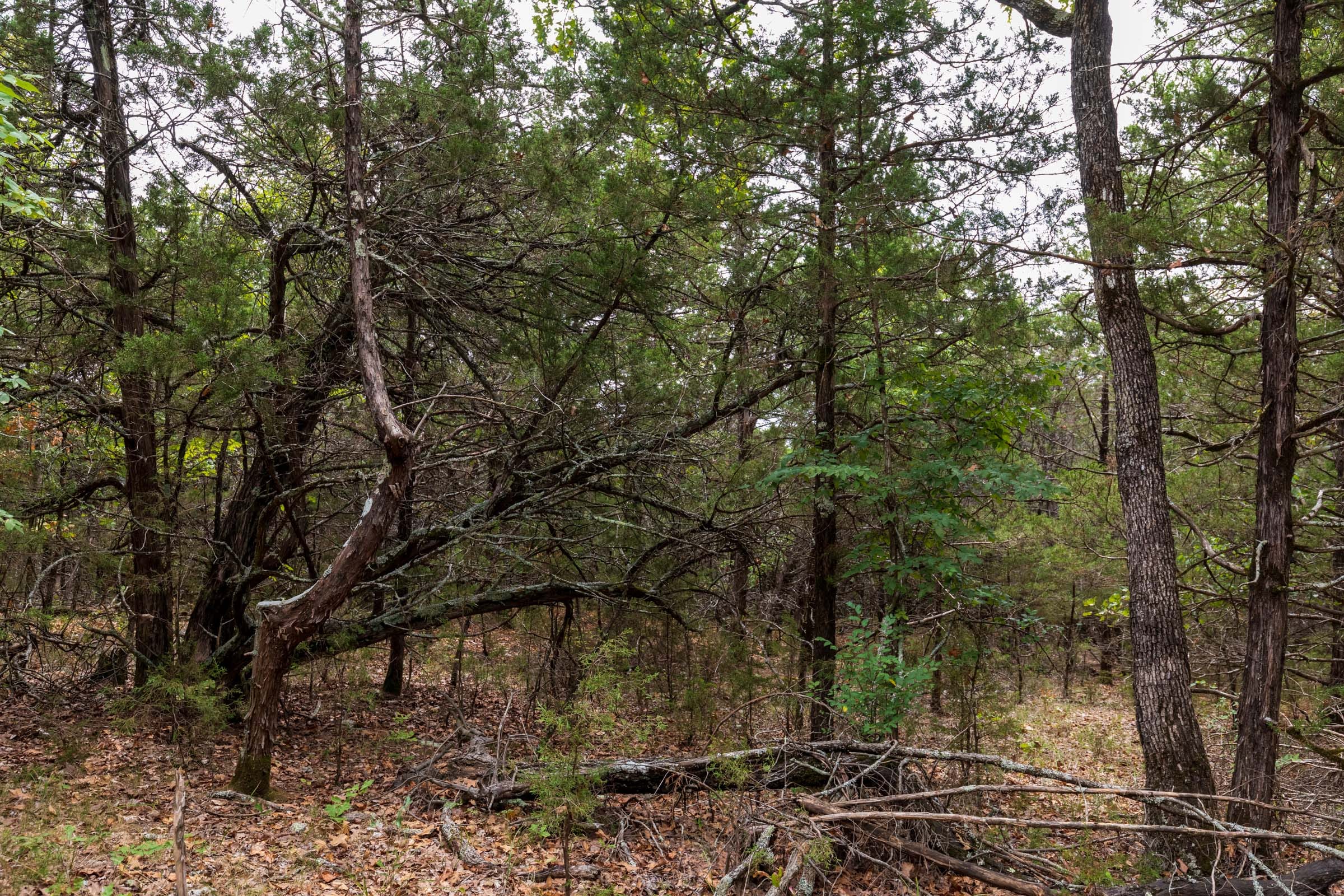 Heritage Bend Tract 35 photo 16