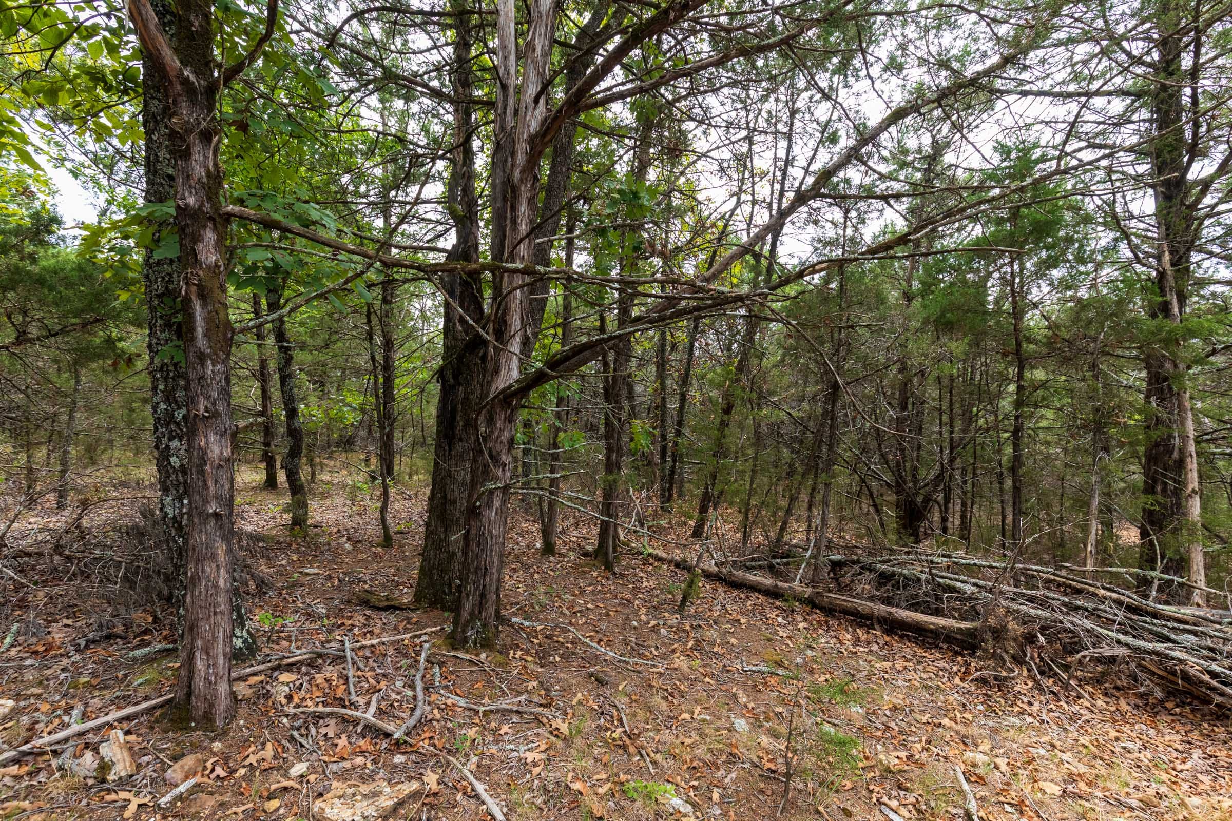 Heritage Bend Tract 35 photo 18