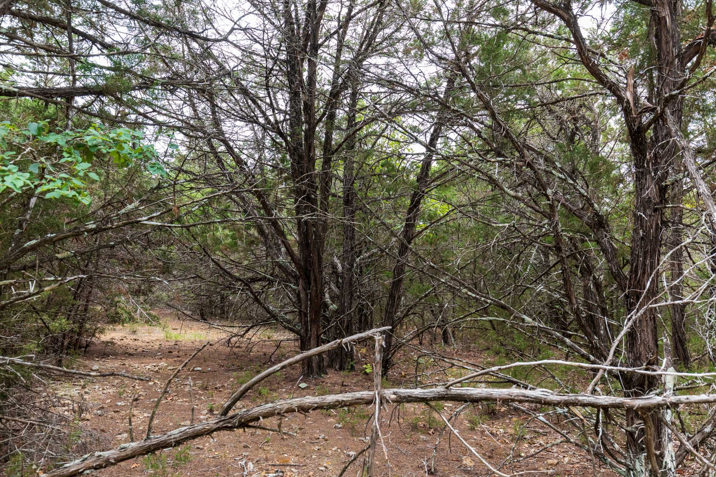 Heritage Bend Tract 35 photo 20